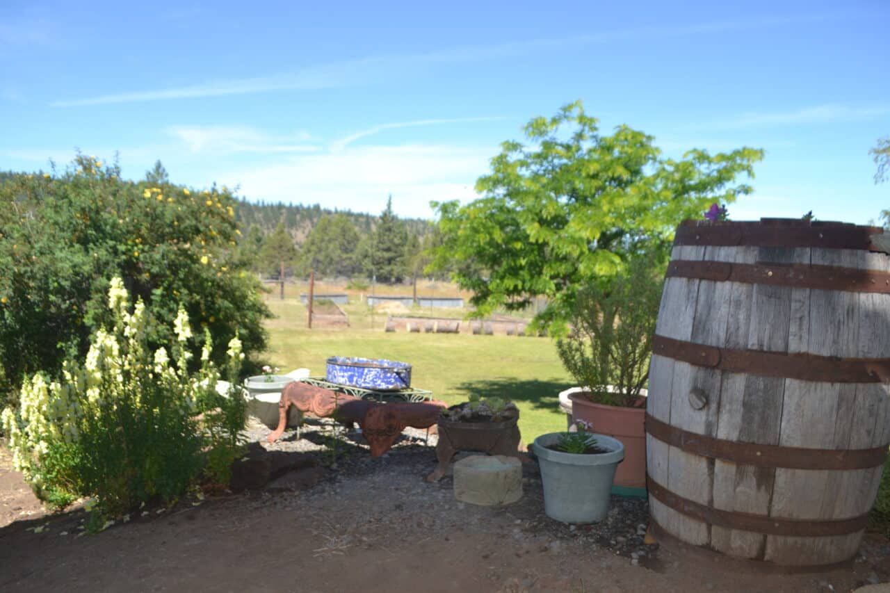 Listing Image 90