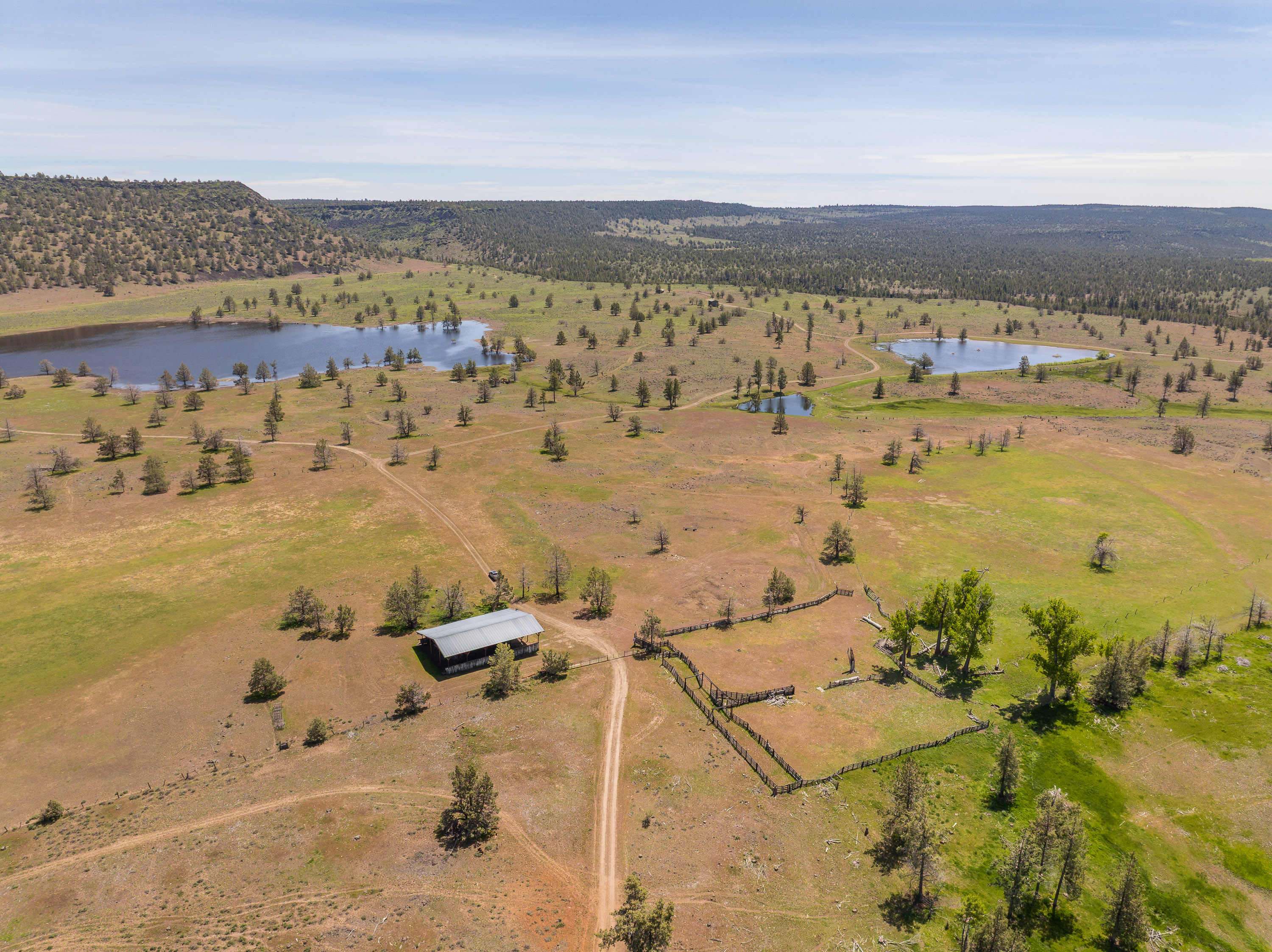 Listing Image 90