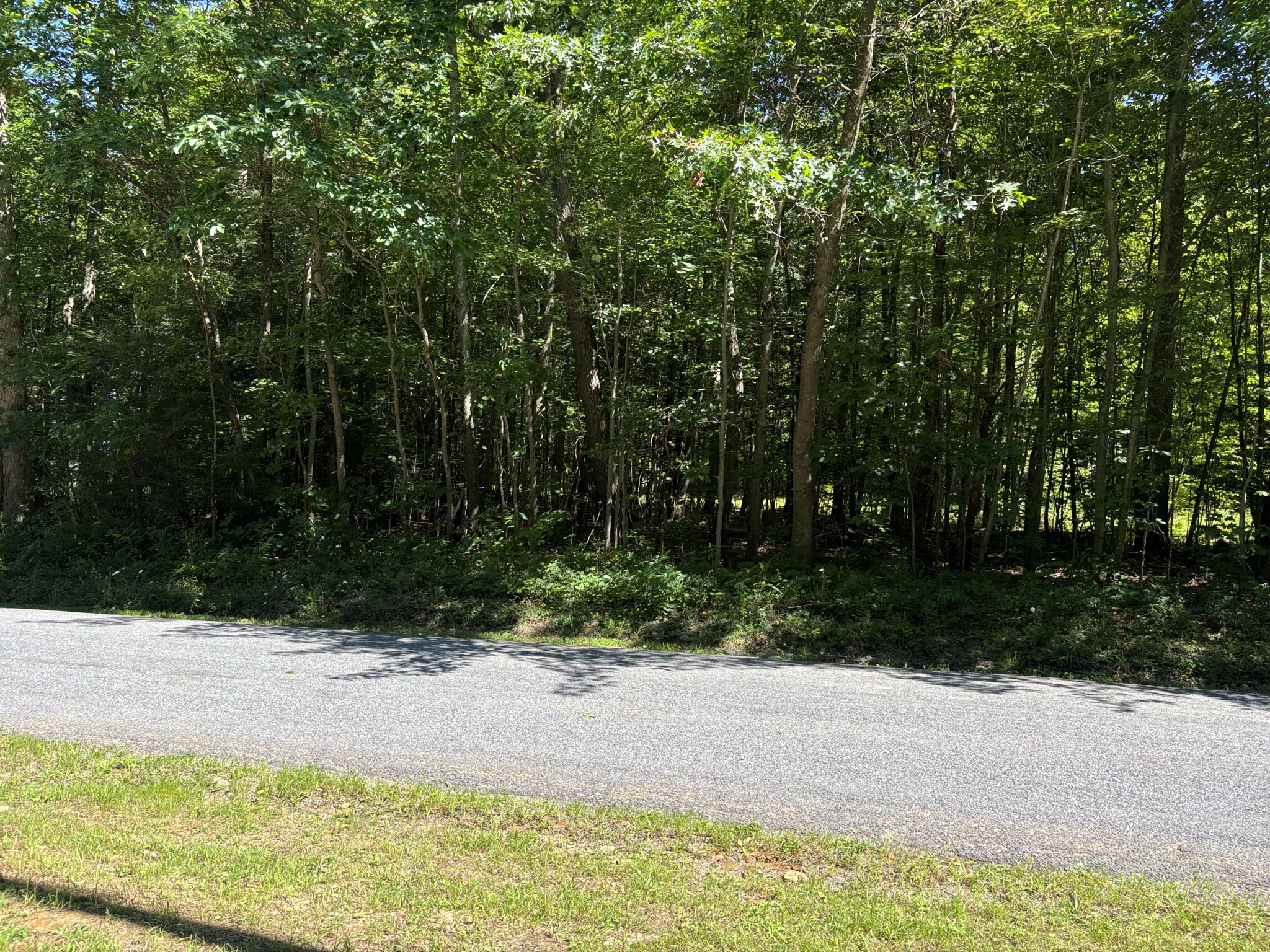 Listing Image 27