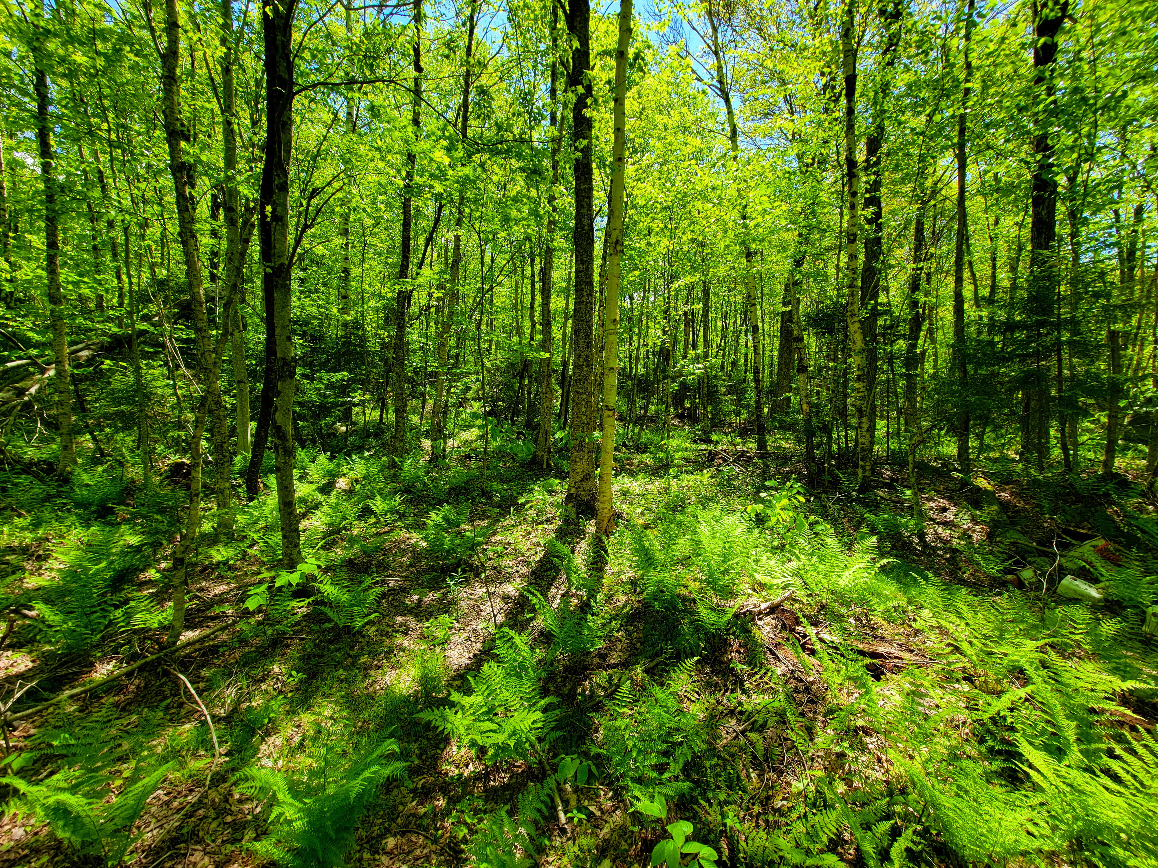 925 Hathaway Rd - Goshen