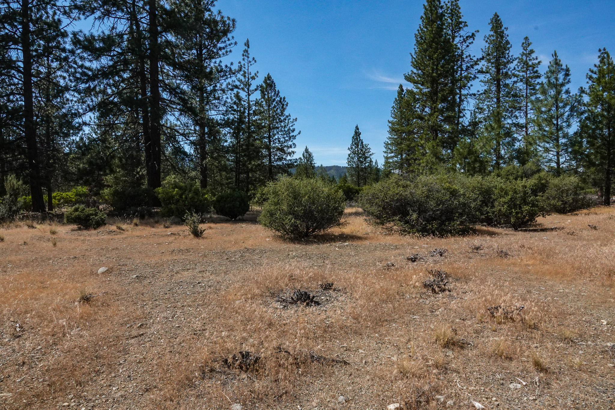 Listing Image 49