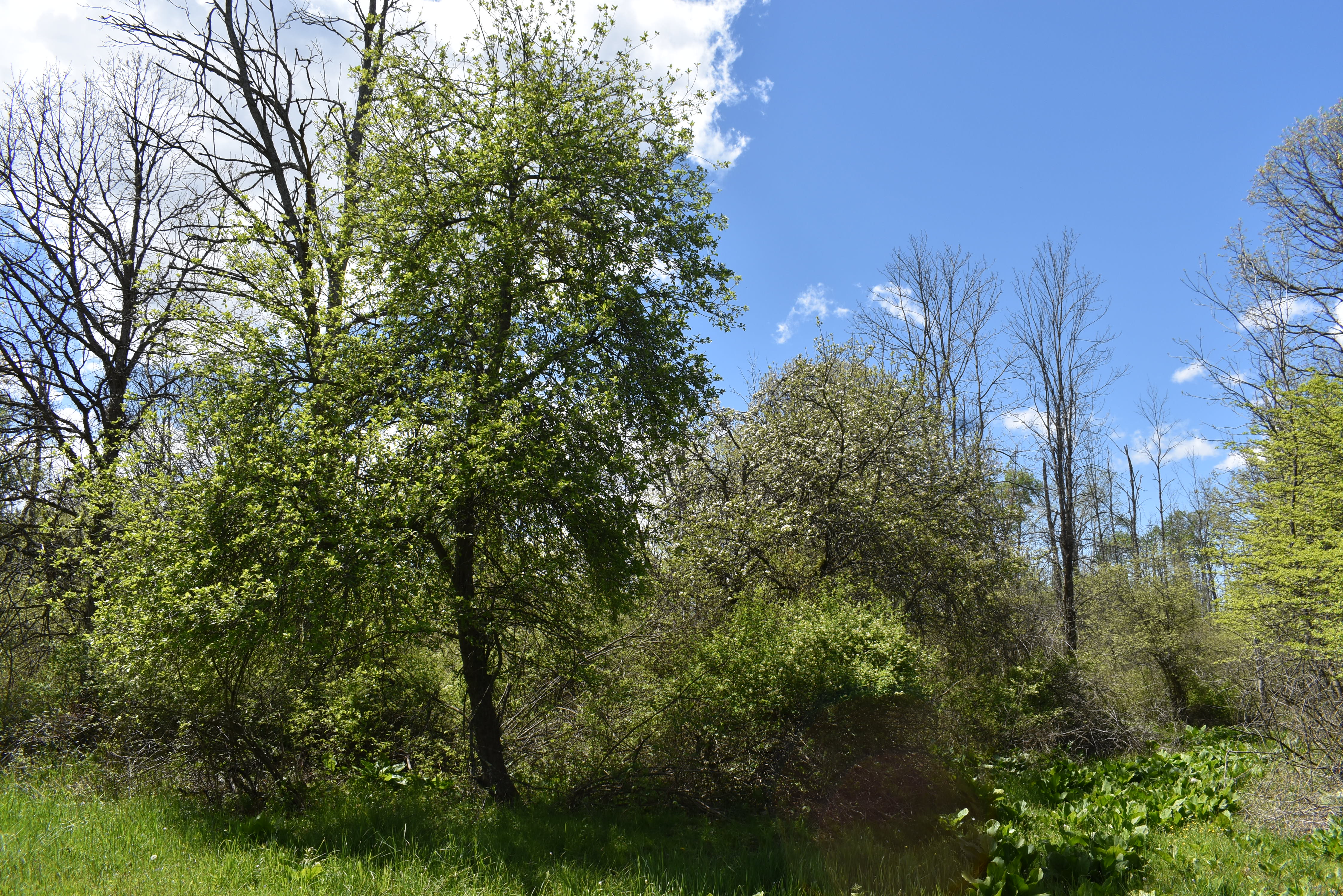 Listing Image 18