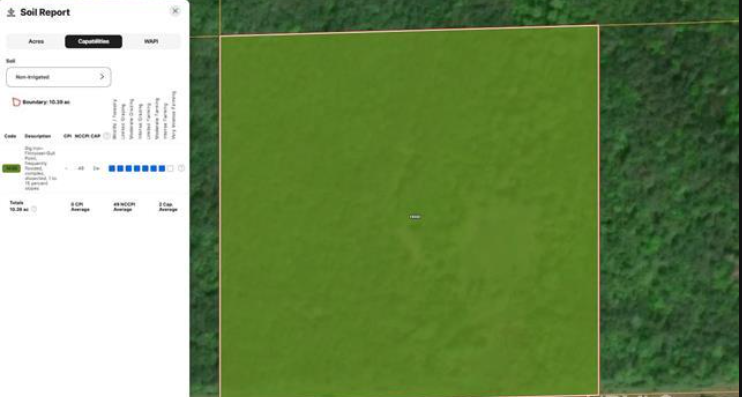 Listing Image 12