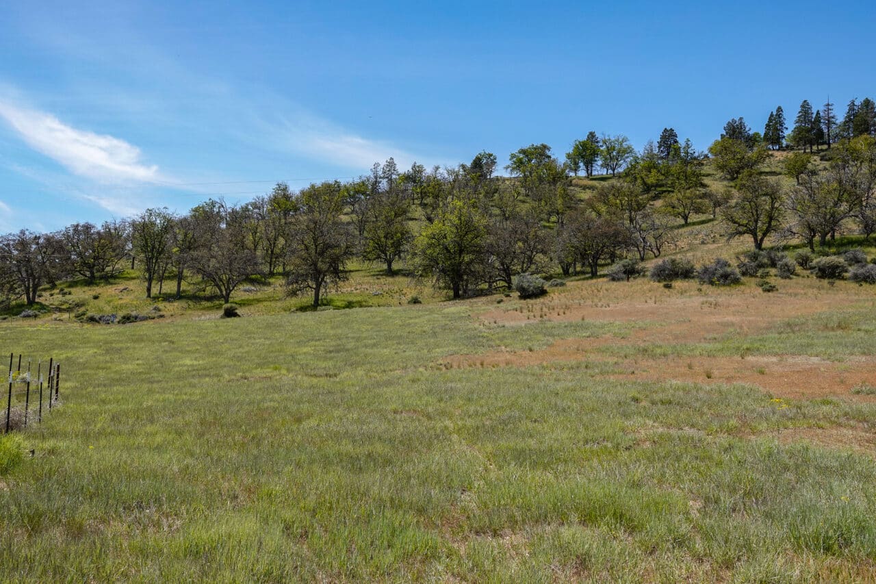 Listing Image 52