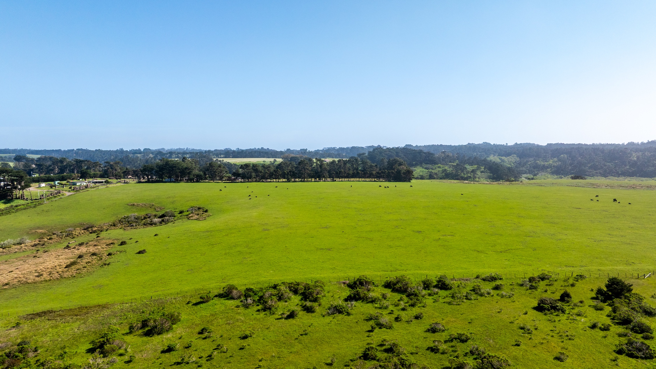 Listing Image 72