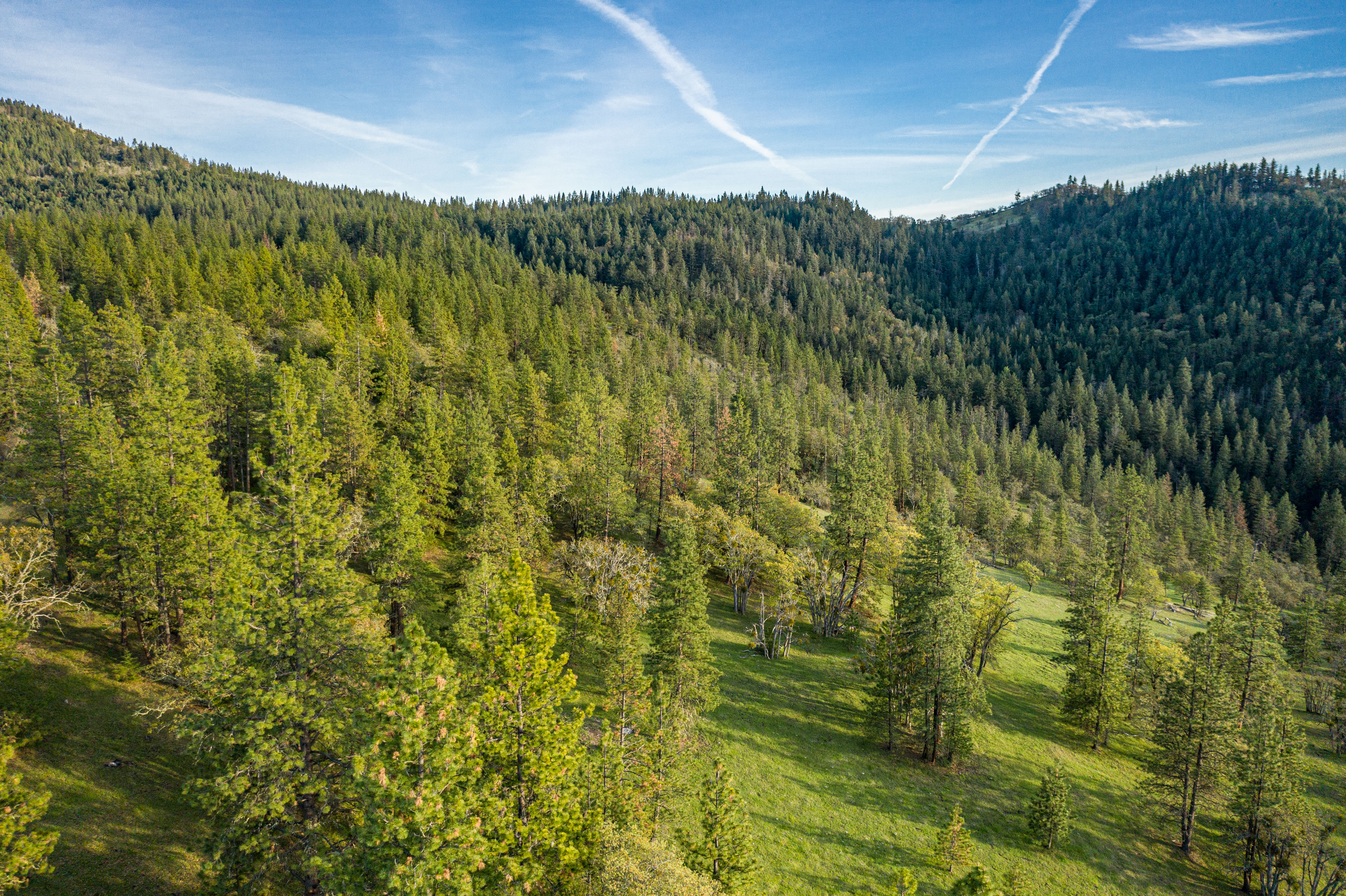 Mount Baldy Ranch