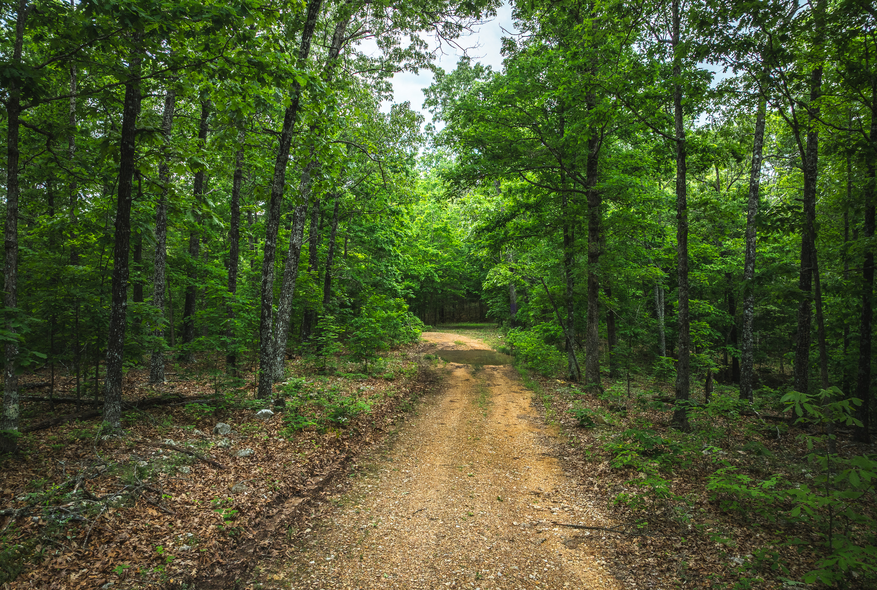 Pine Hollow Sportsmen