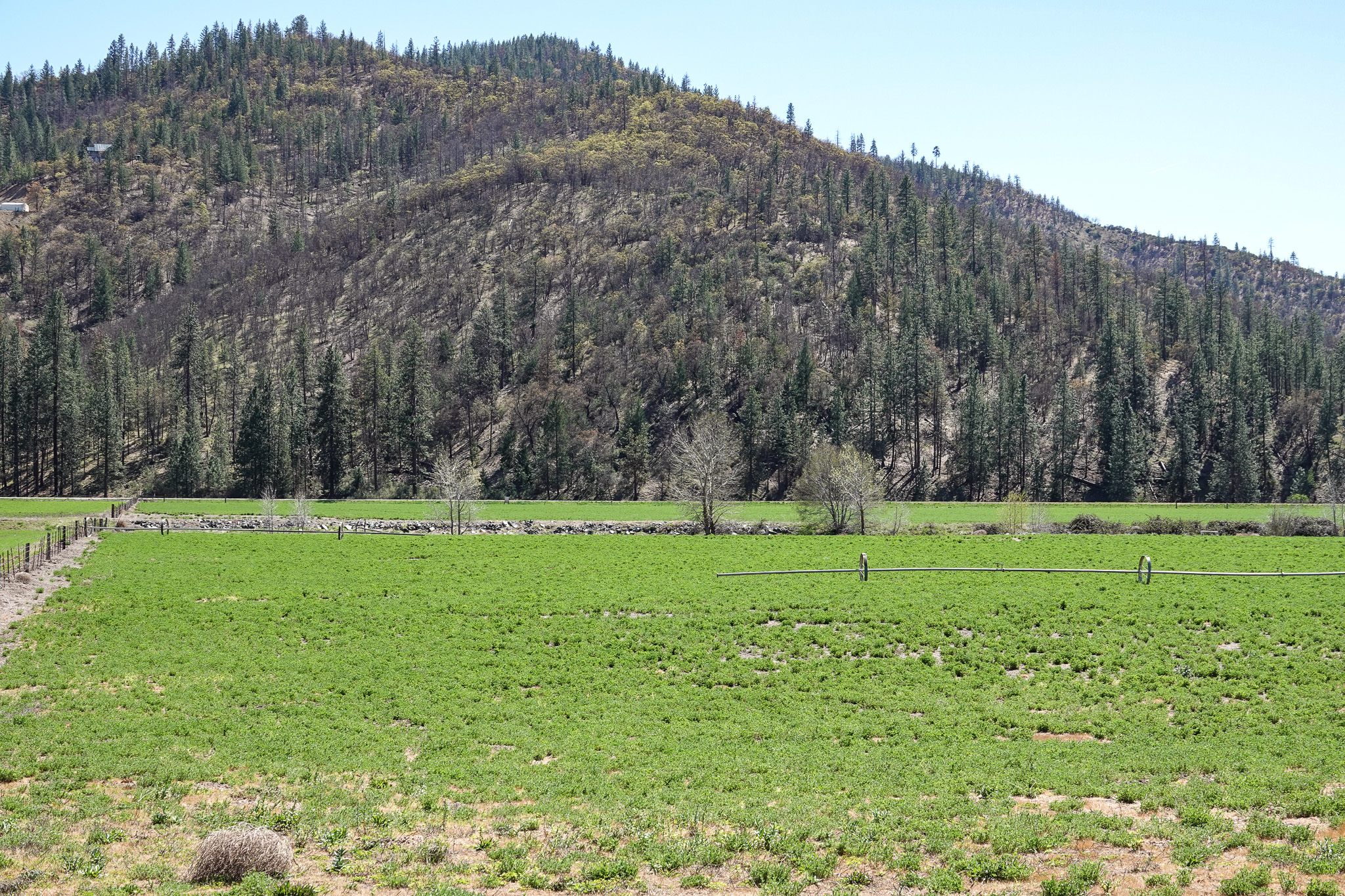 Kraus and Sons Ranch