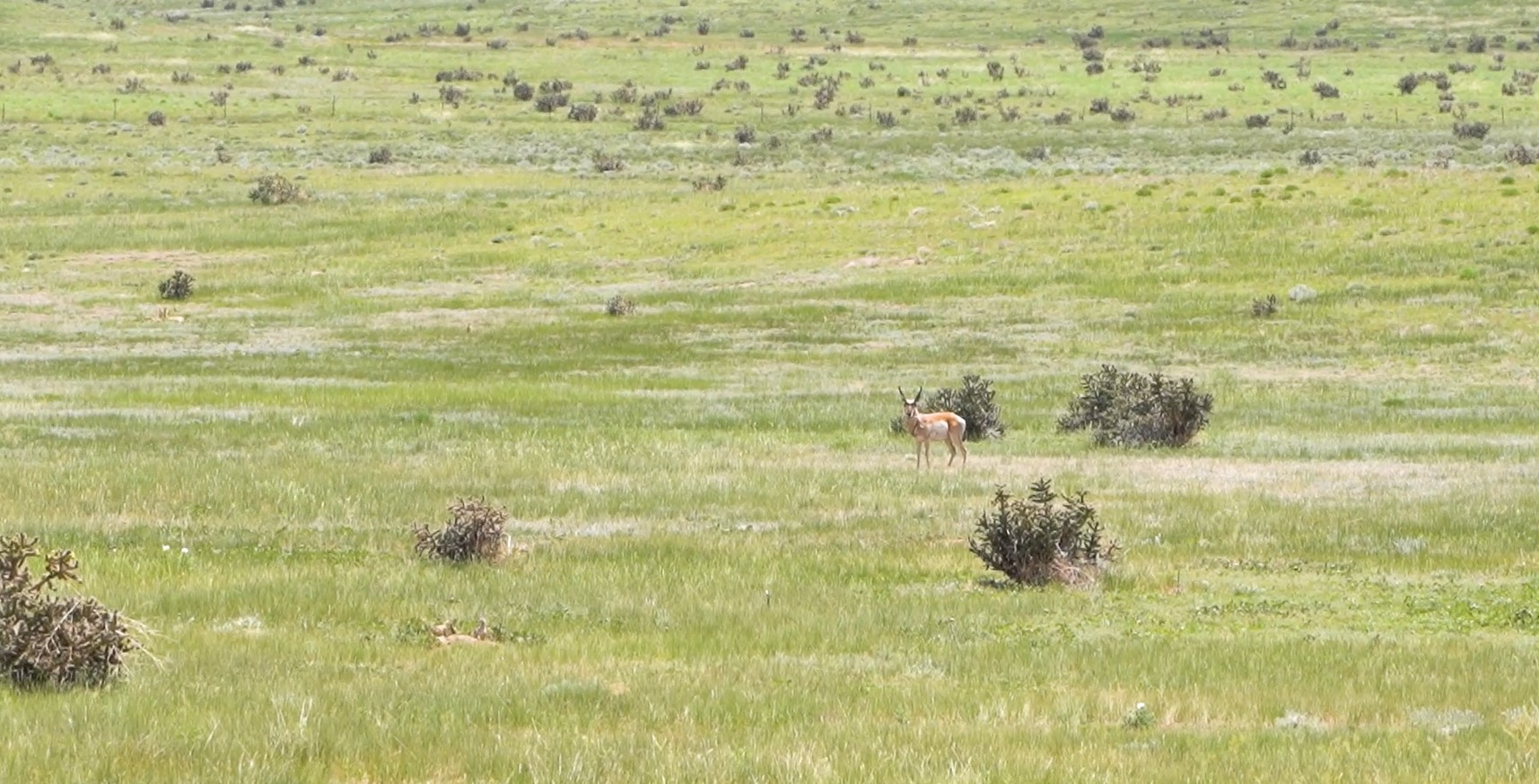 Listing Image 57