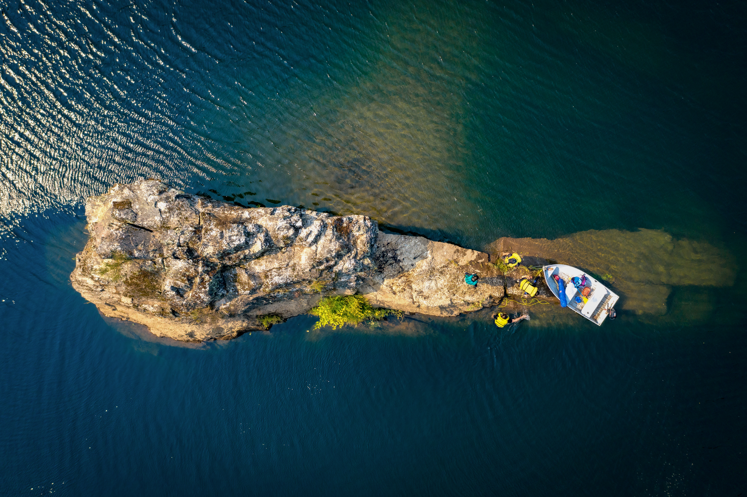 American River Camp Property