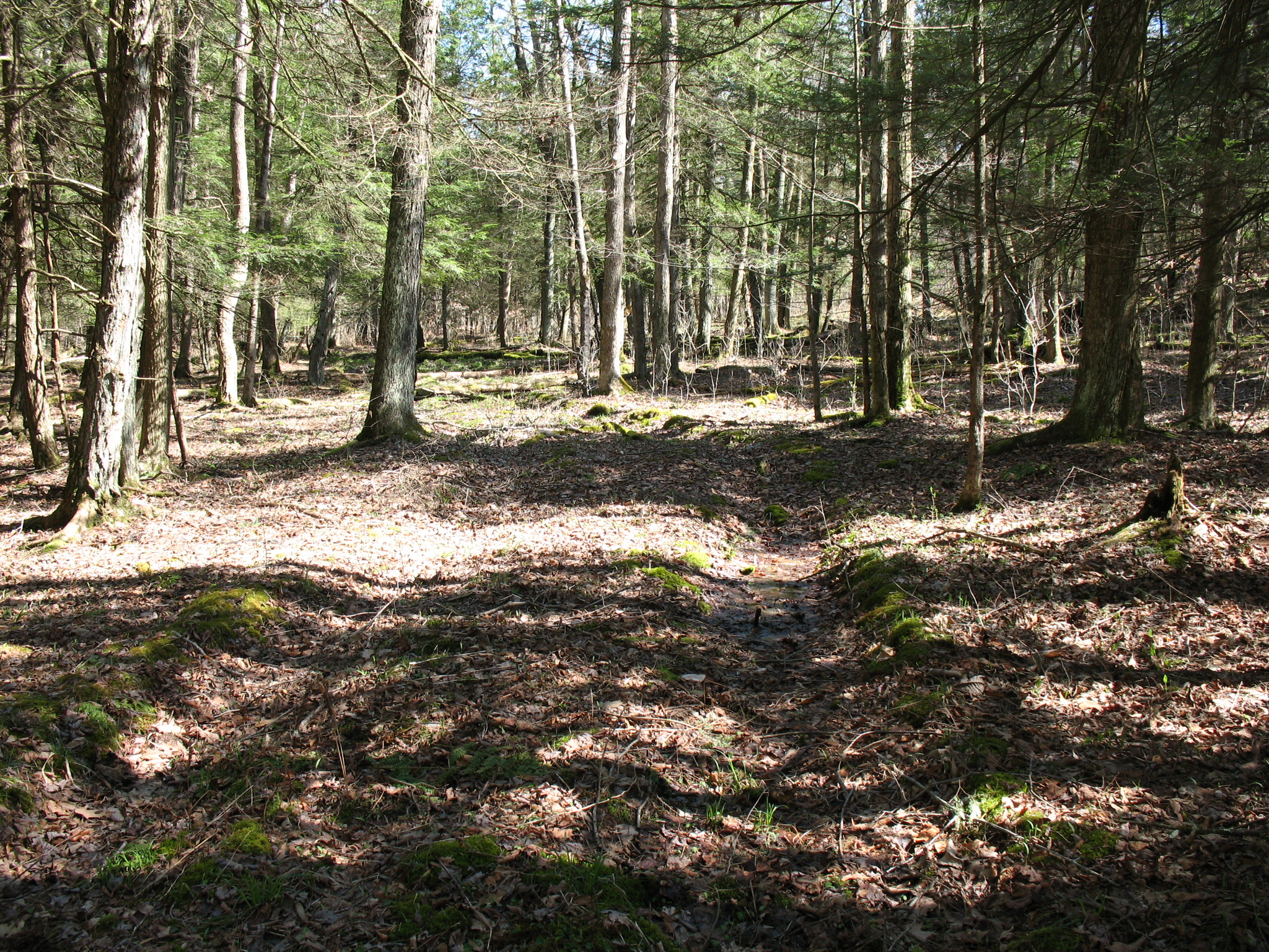 Listing Image 33