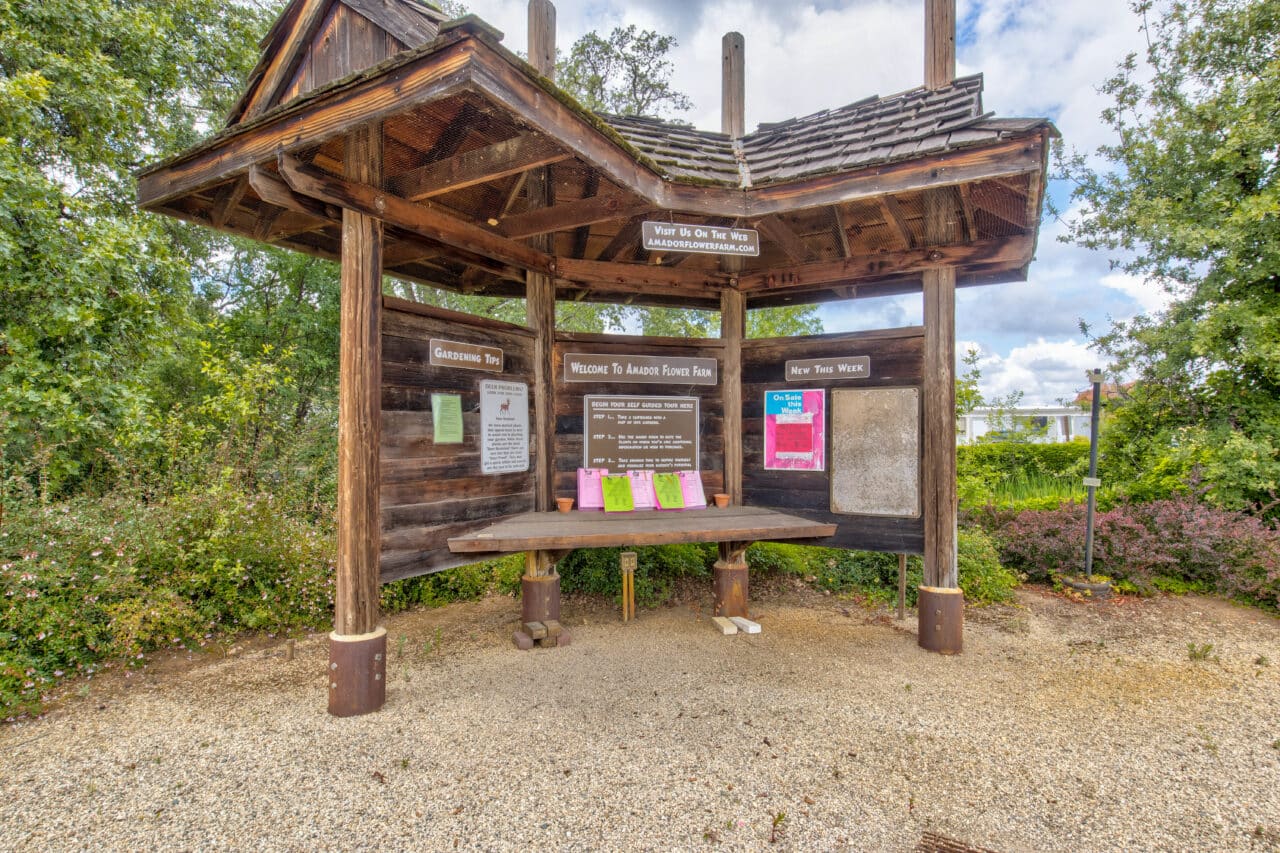 Listing Image 51