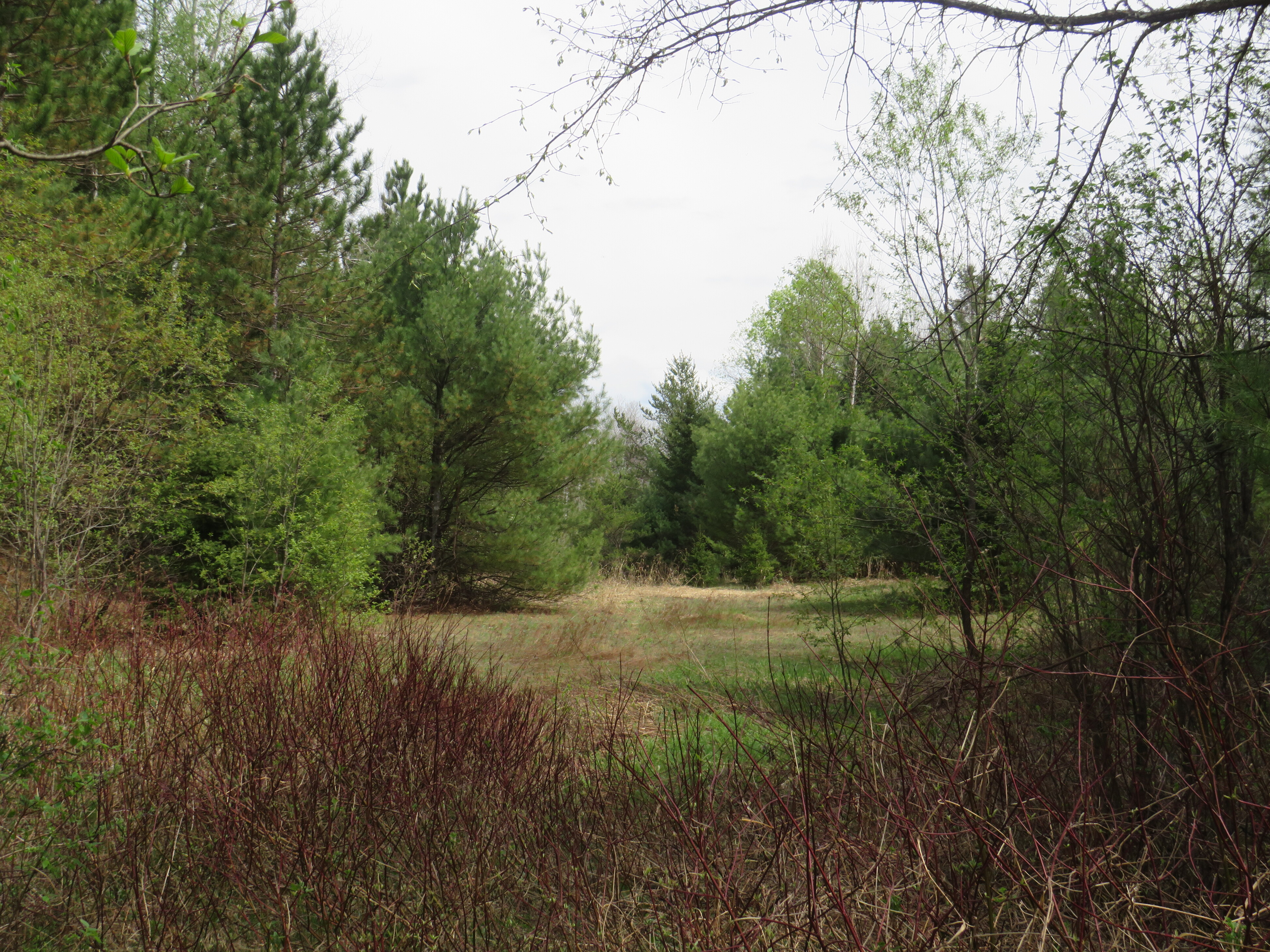 160 Acre Wilderness Retreat 50175391