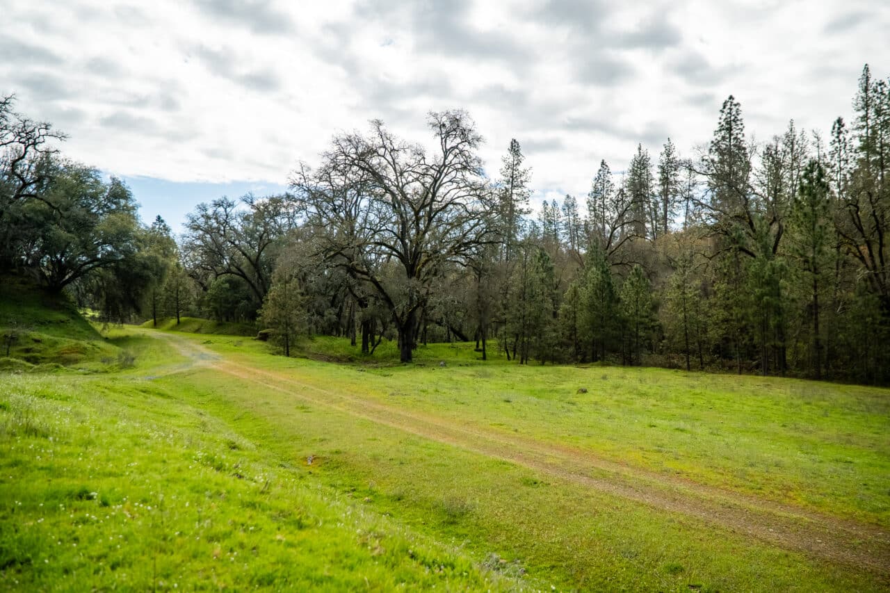 Hyatt Ranch