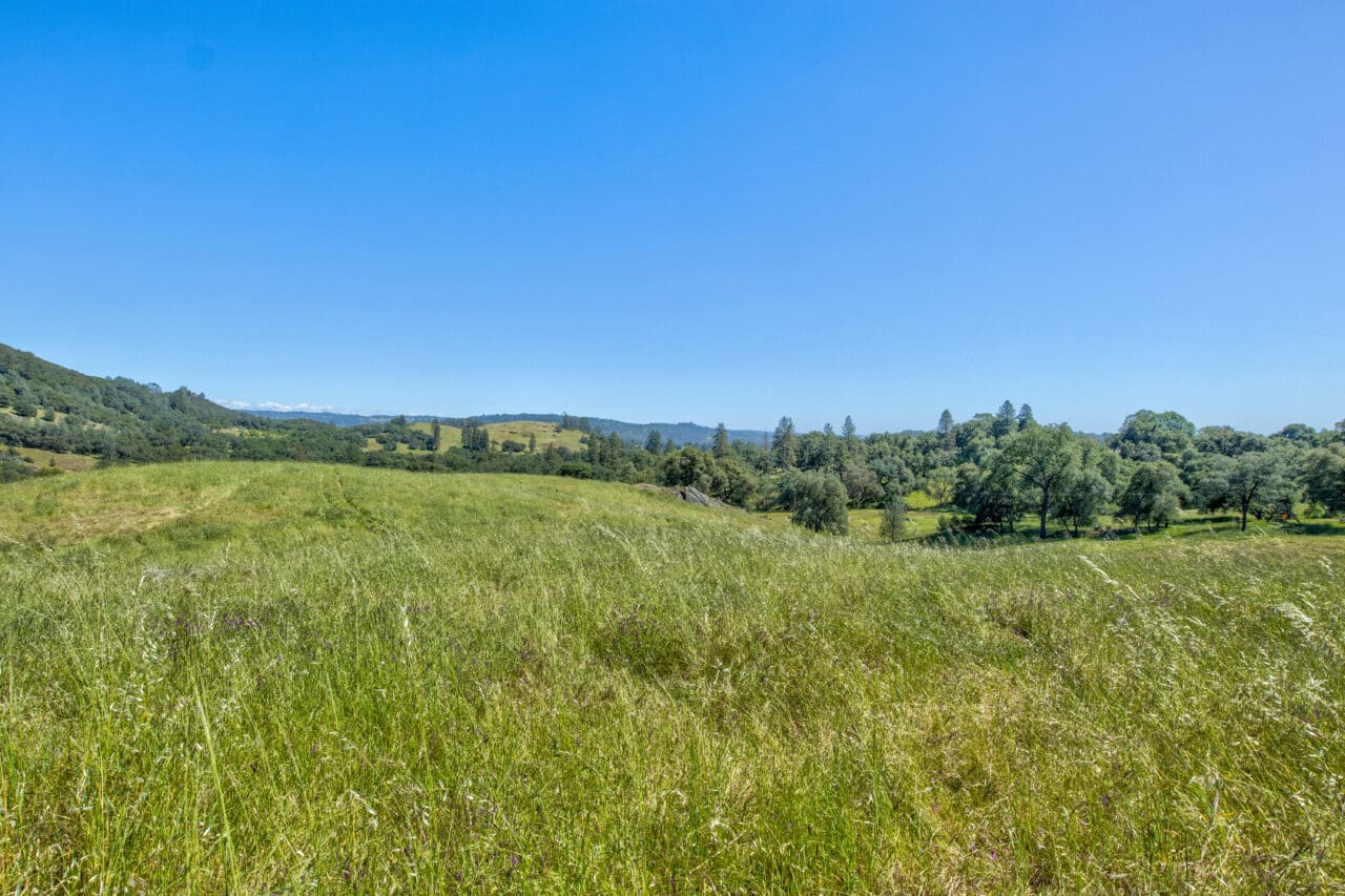 Listing Image 70