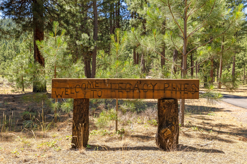 Listing Image 86