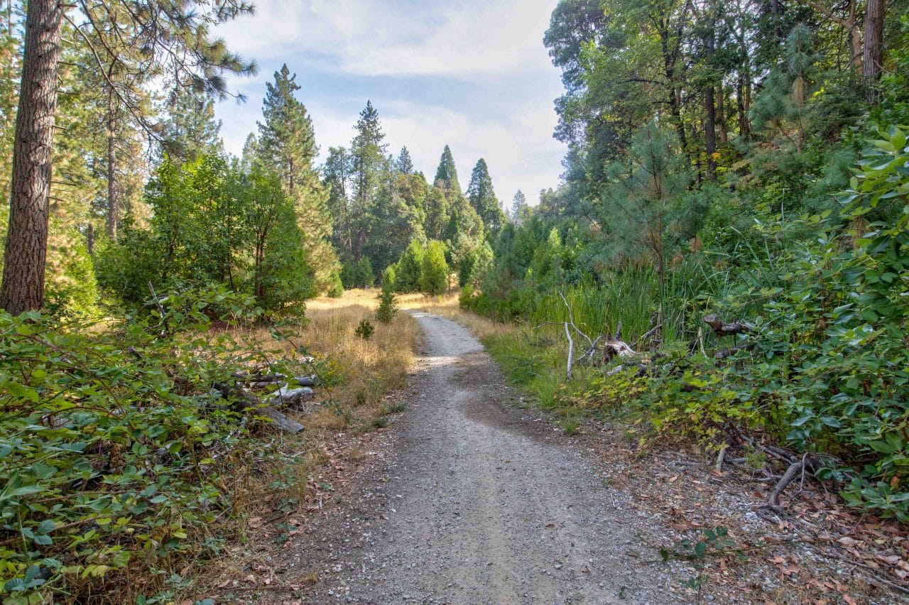 Listing Image 34