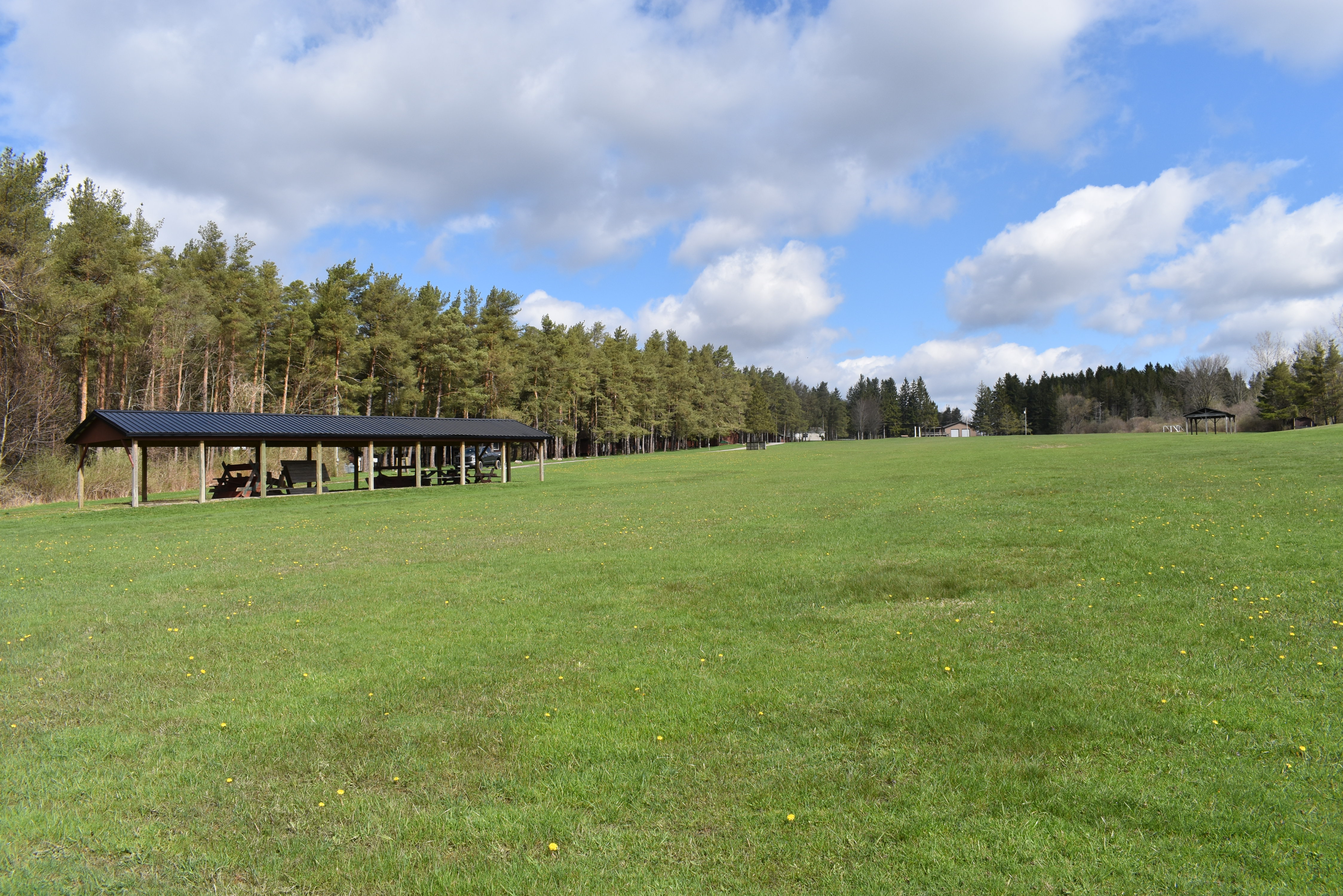 Listing Image 85