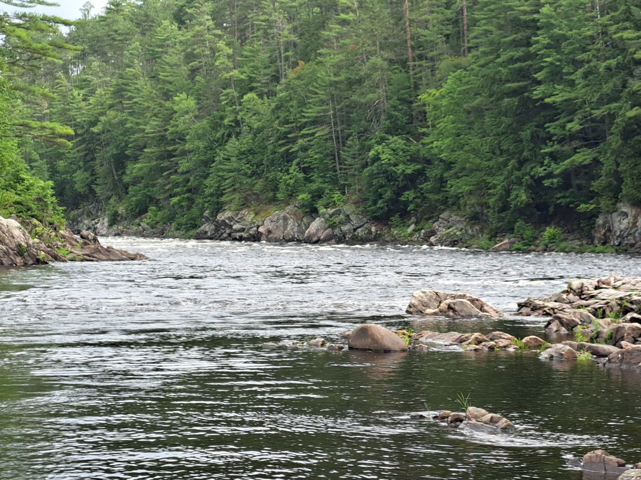 Hudson River Woods & Water