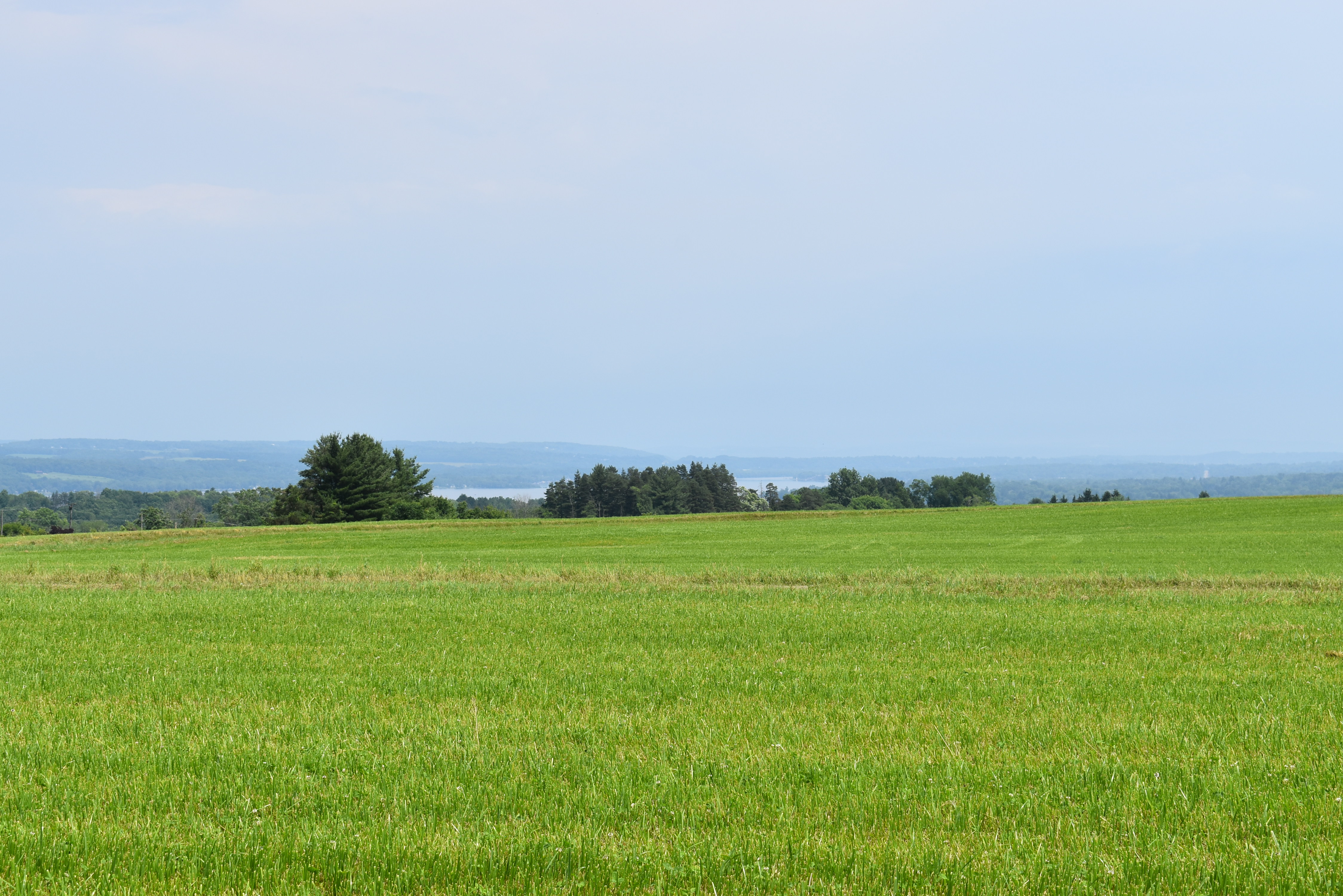Listing Image 93