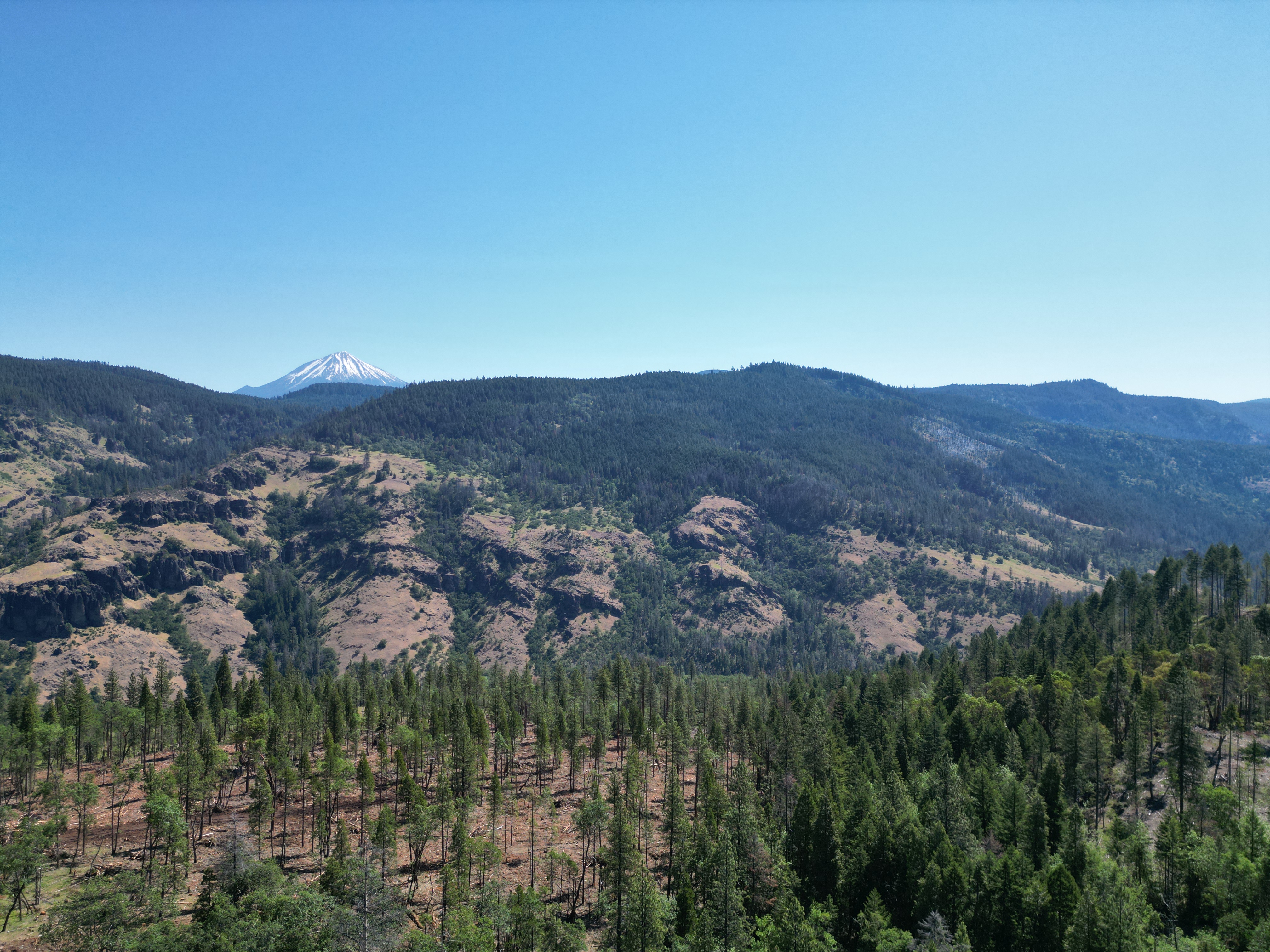 North Fork Timber
