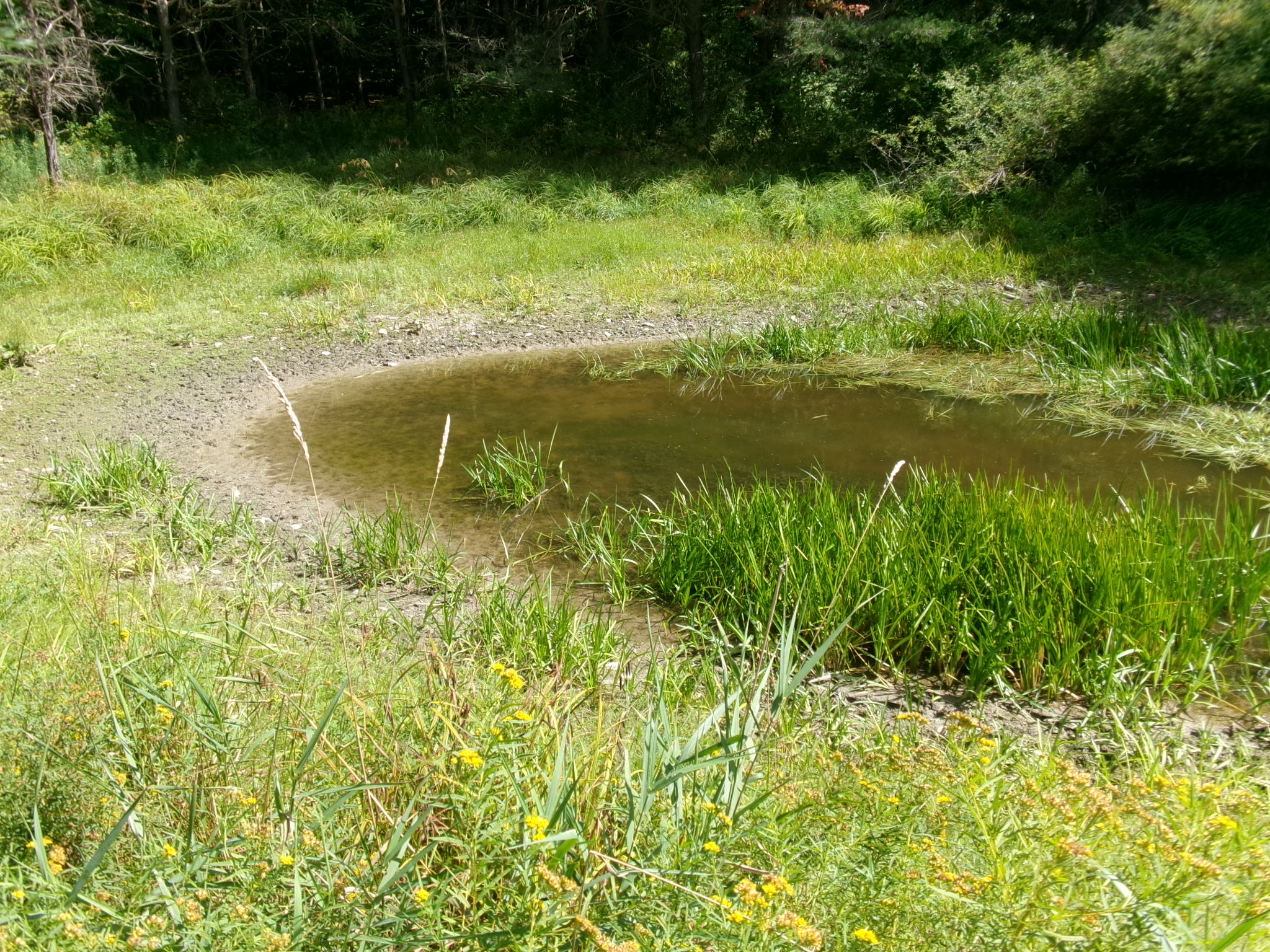 Listing Image 31