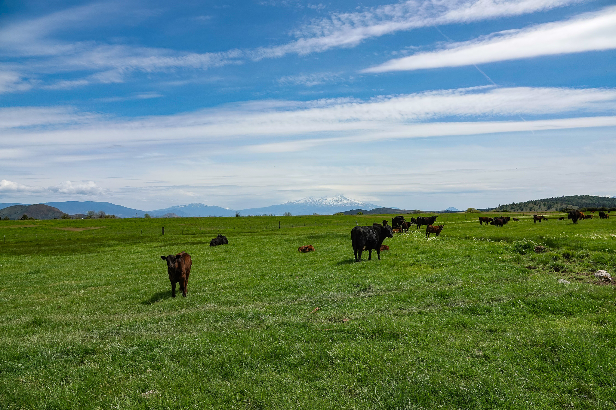 Lorenzini Ranch