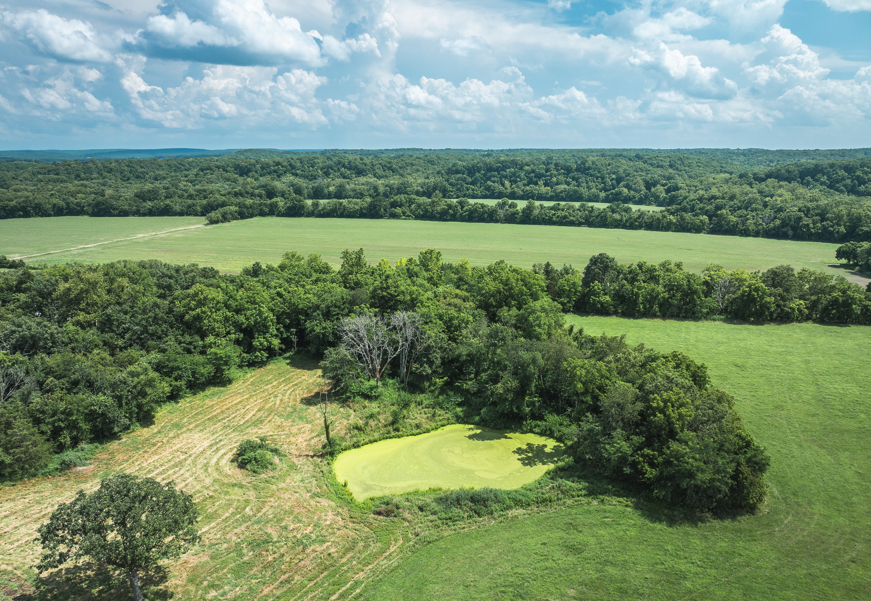 Gasconade Angus Ranch