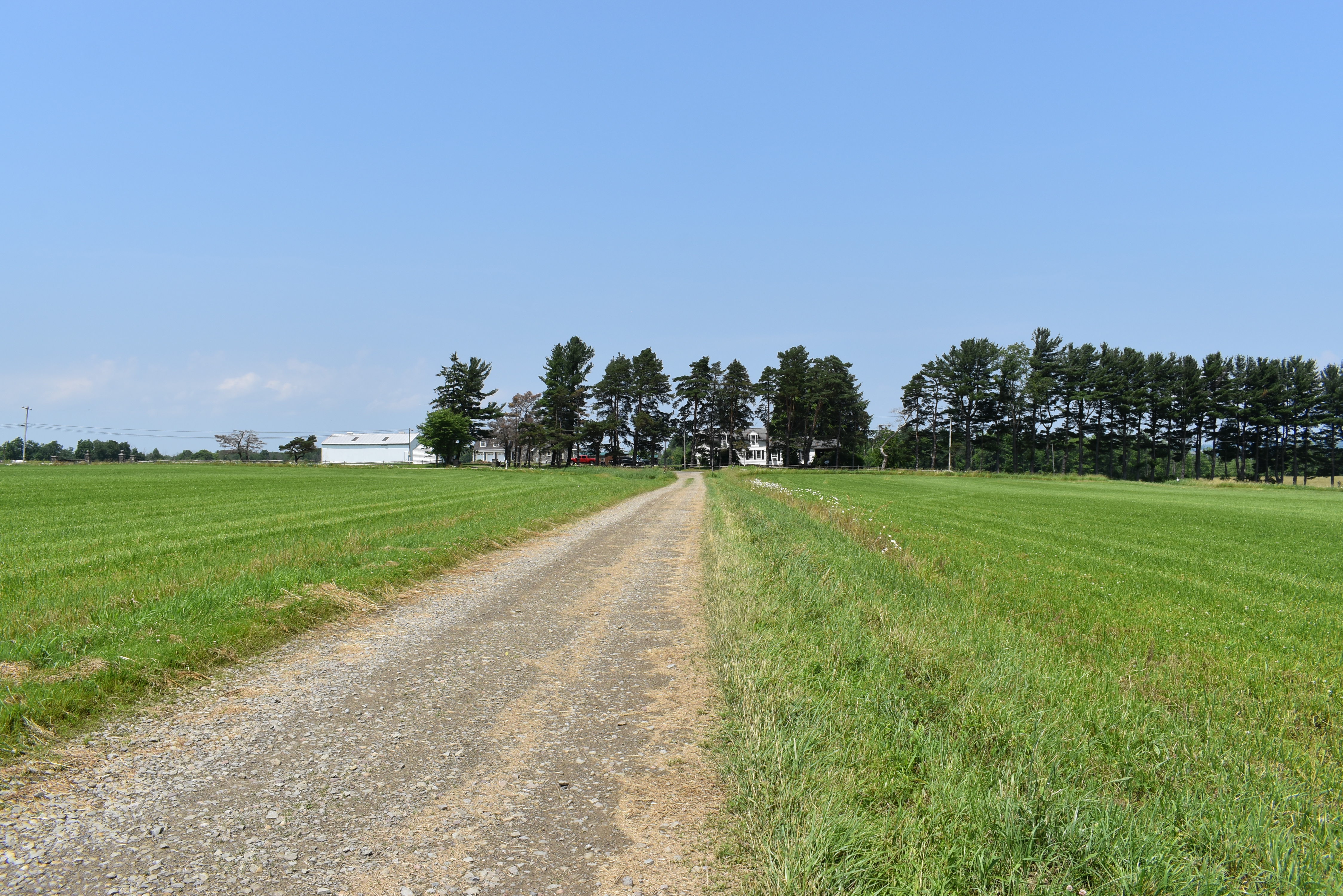 Listing Image 90