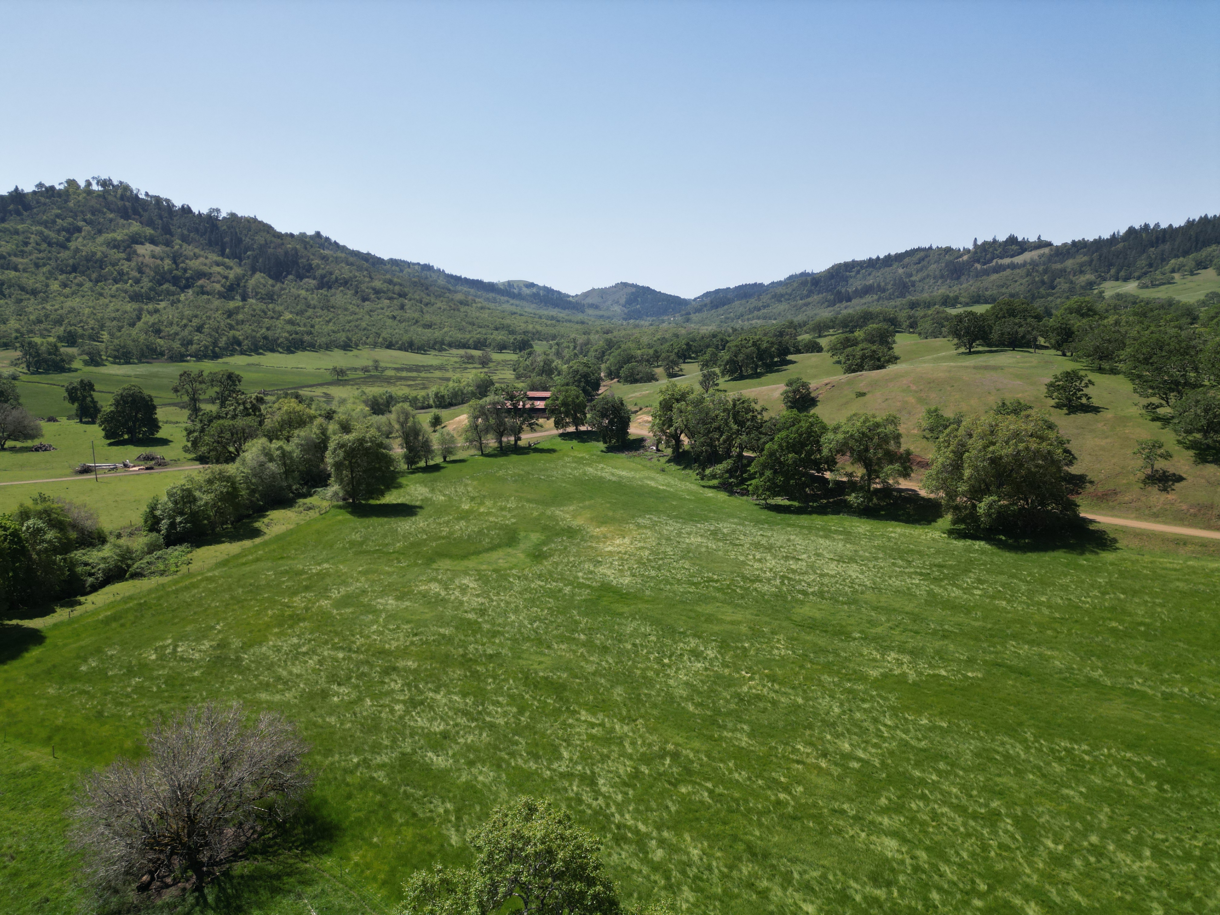 Listing Image 25