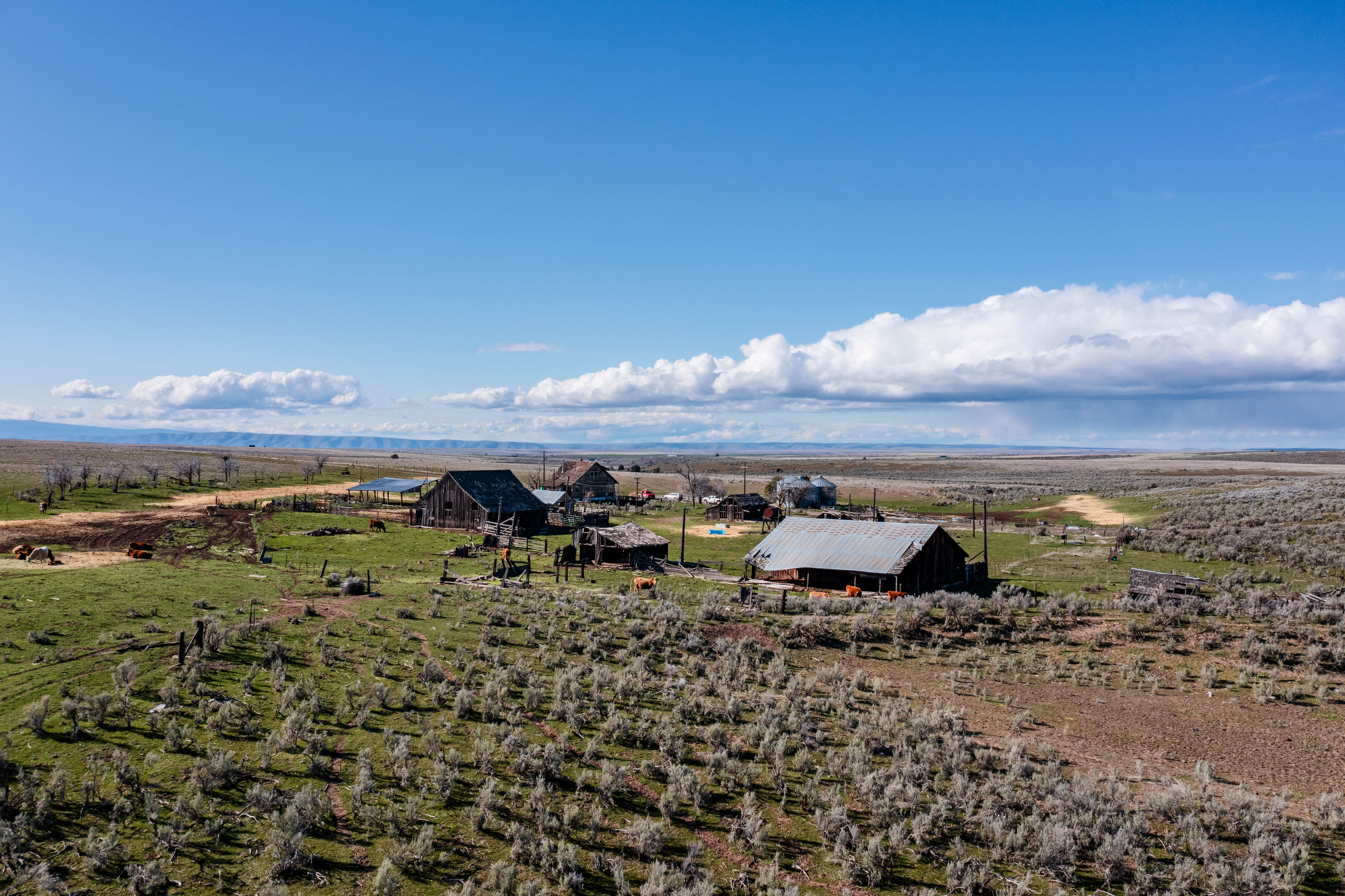 94072 Wilson Lane - Sherman County Farm for Sale