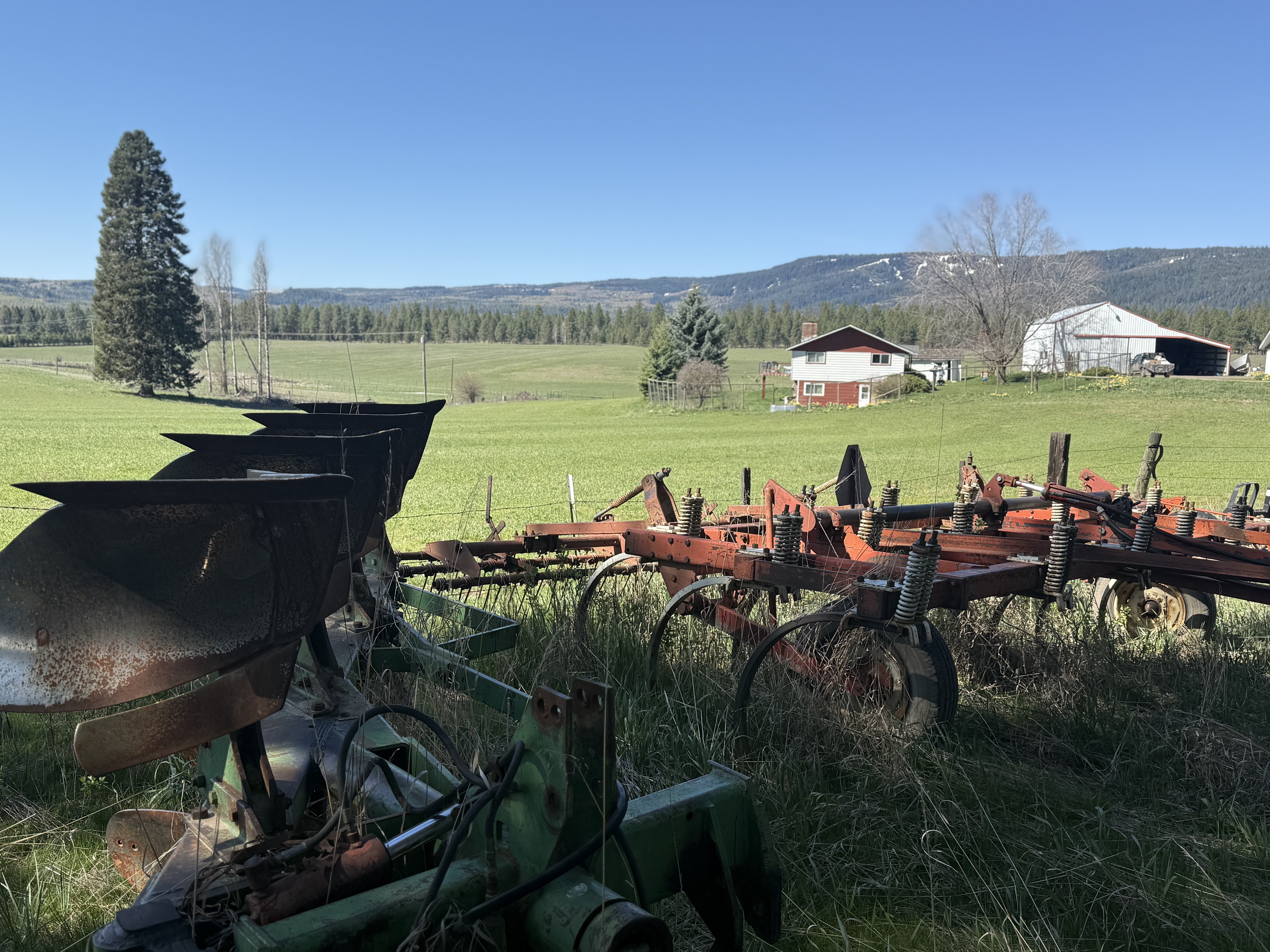 Cattle ranch/Hobby farm