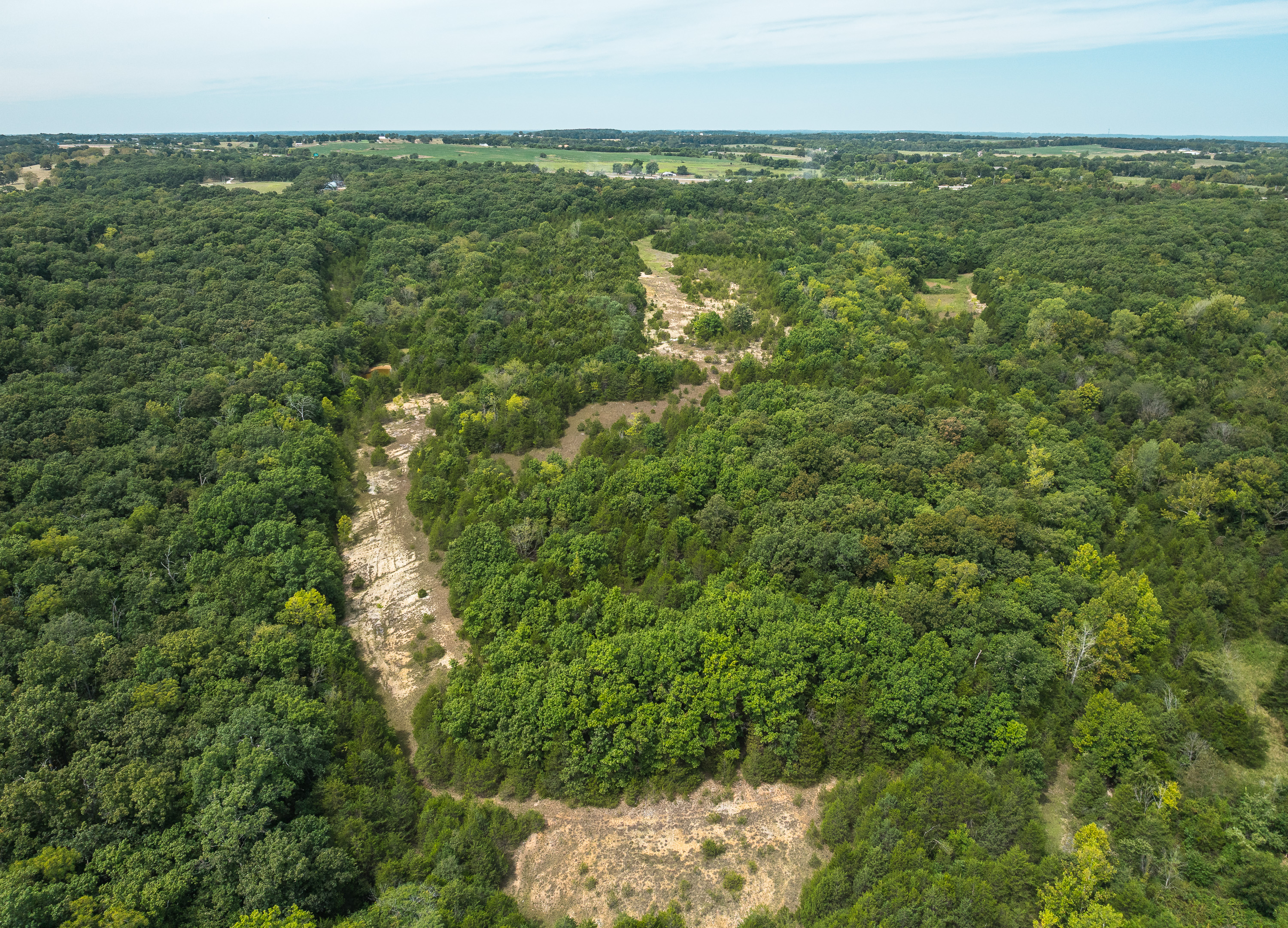 Hickory Hill Hollow