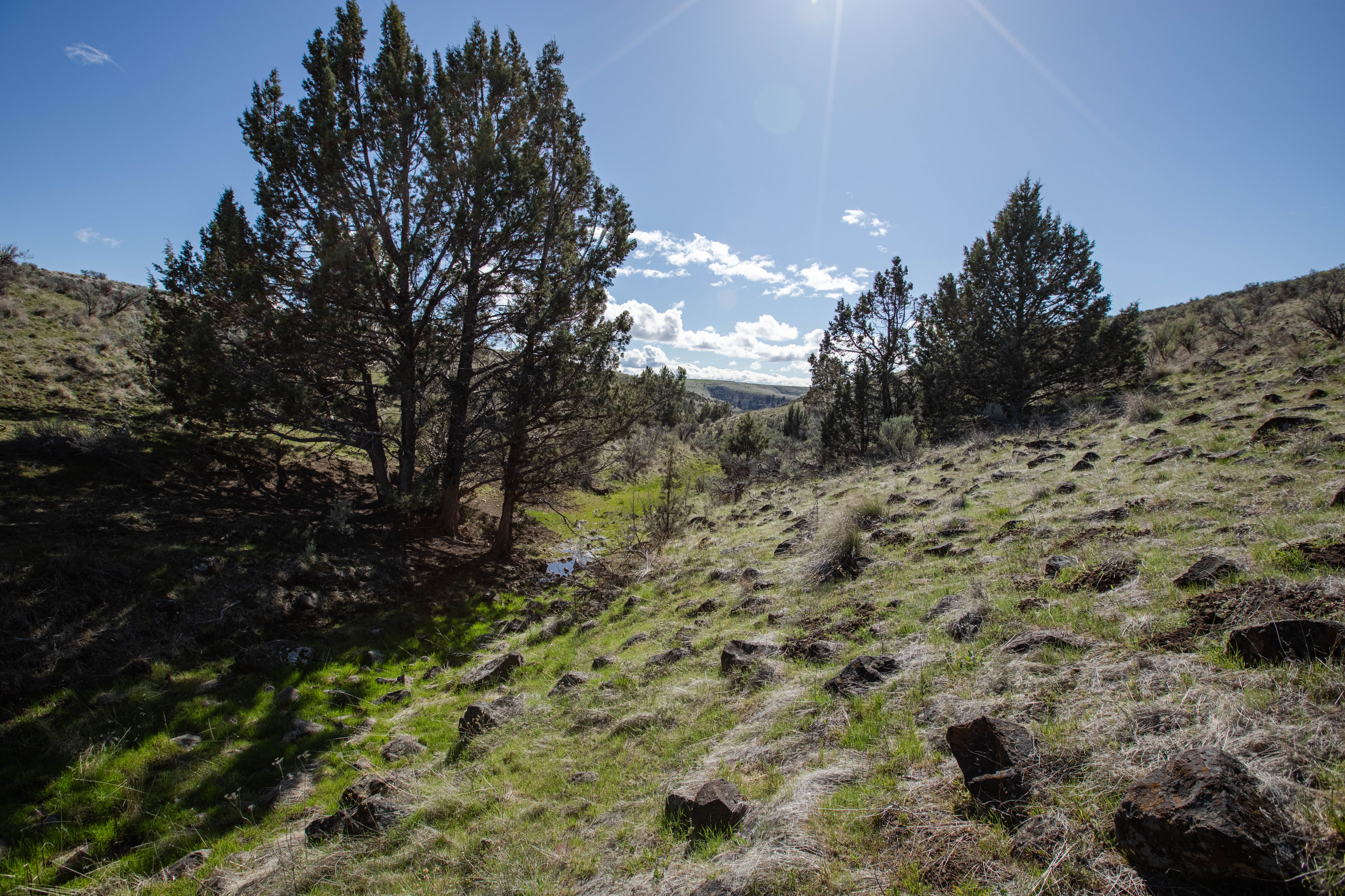 94072 Wilson Lane - Sherman County Farm for Sale