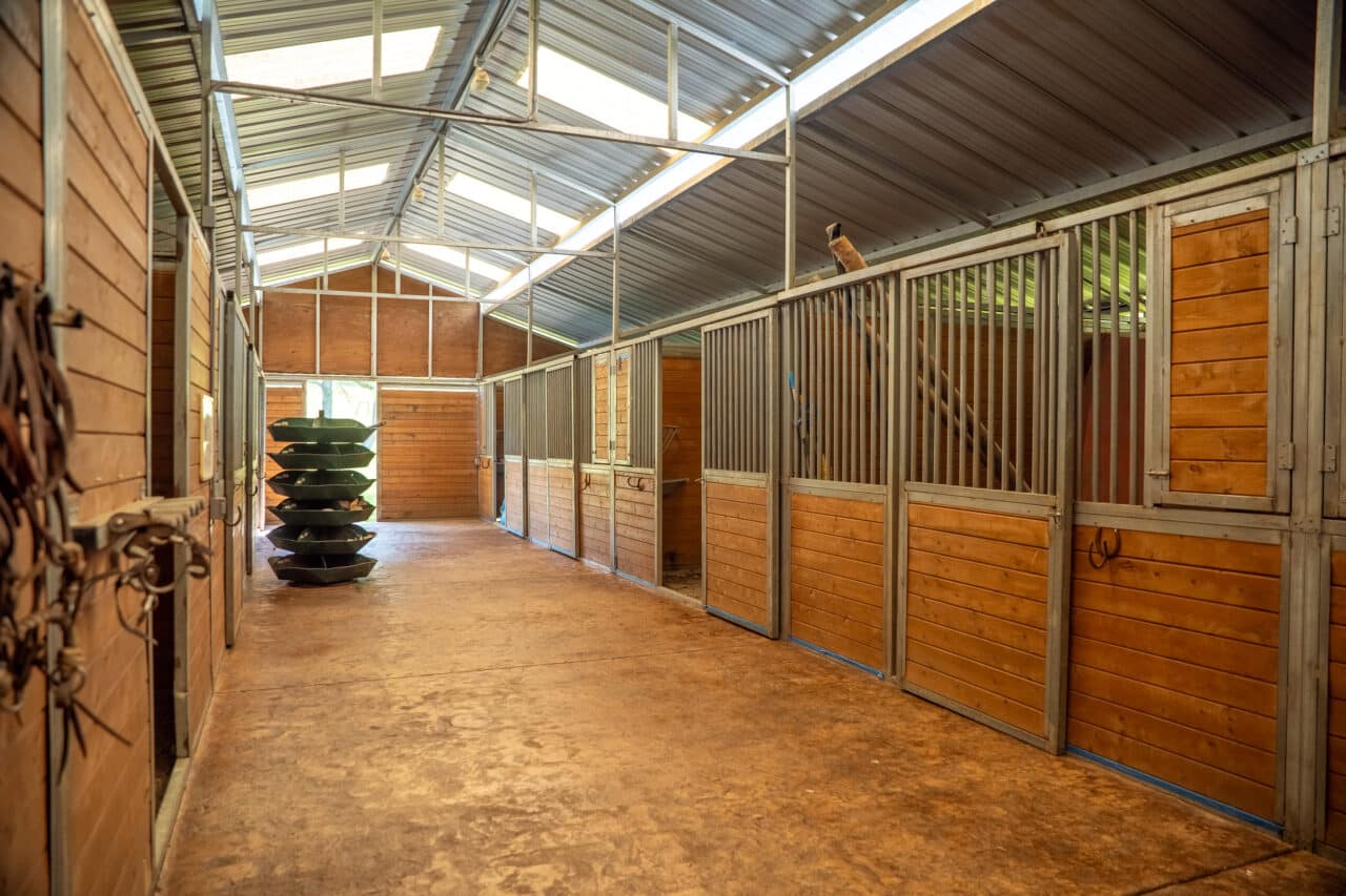 The Gann Ranch