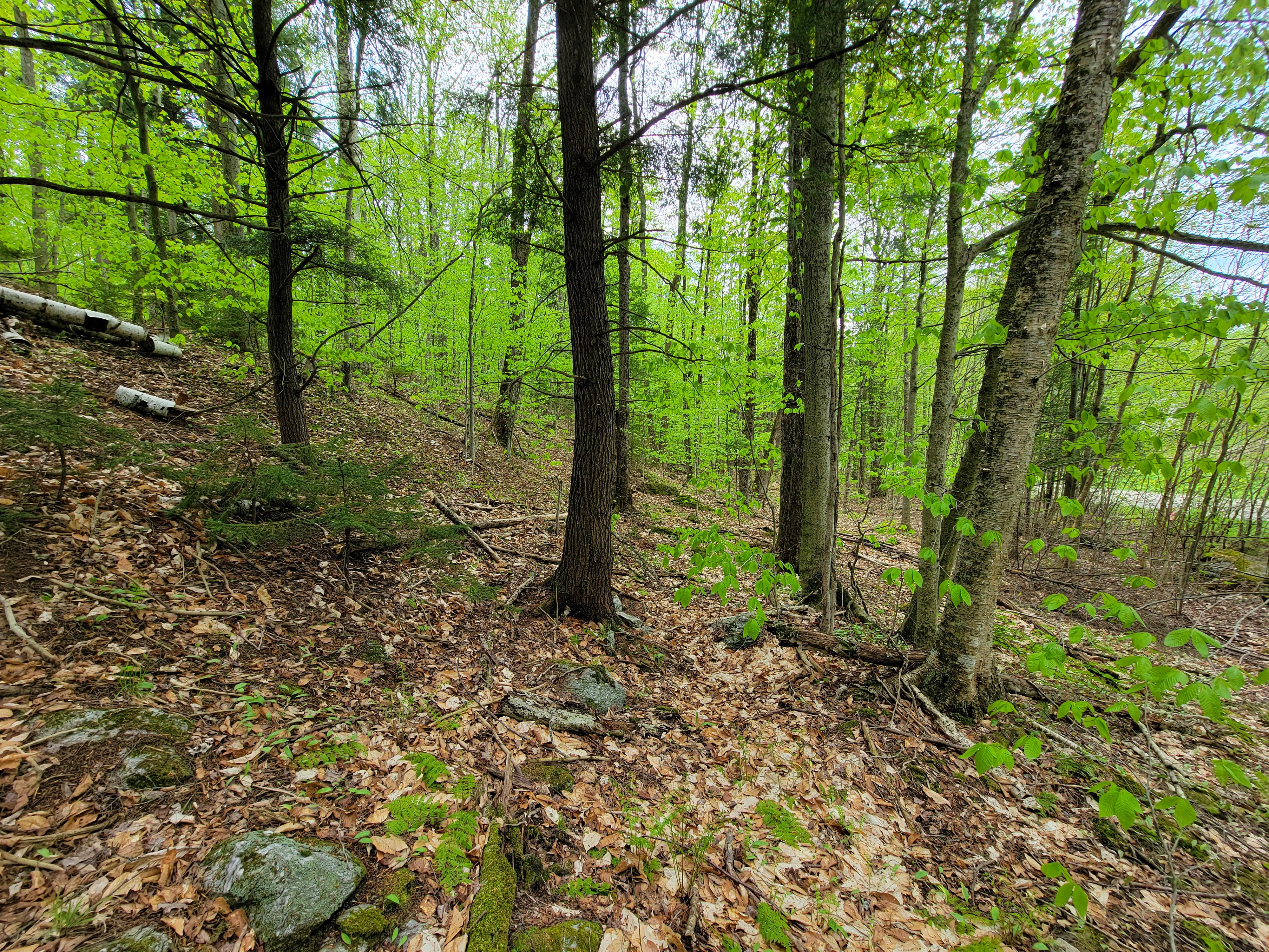 Listing Image 47