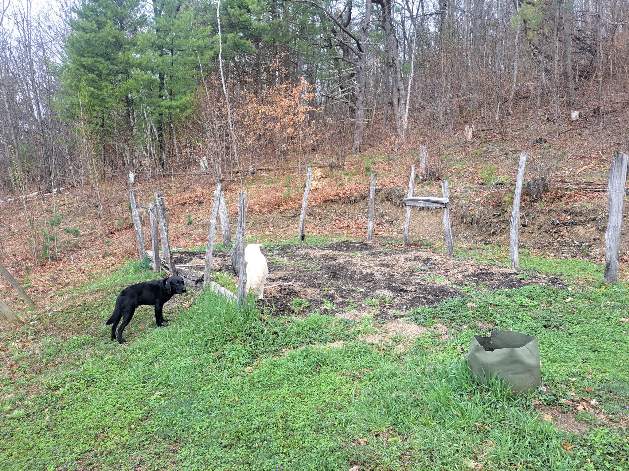 Listing Image 27