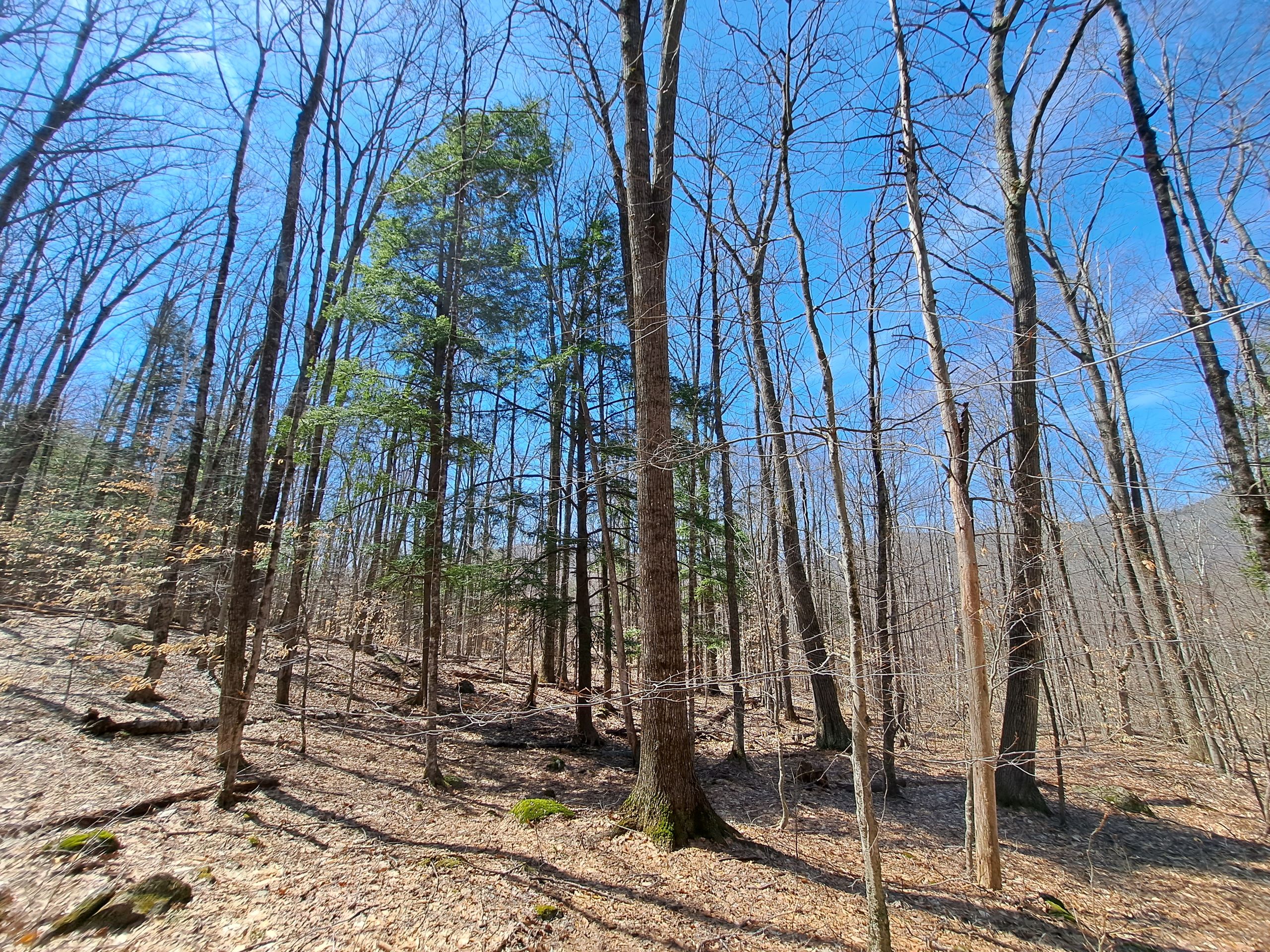 Listing Image 42