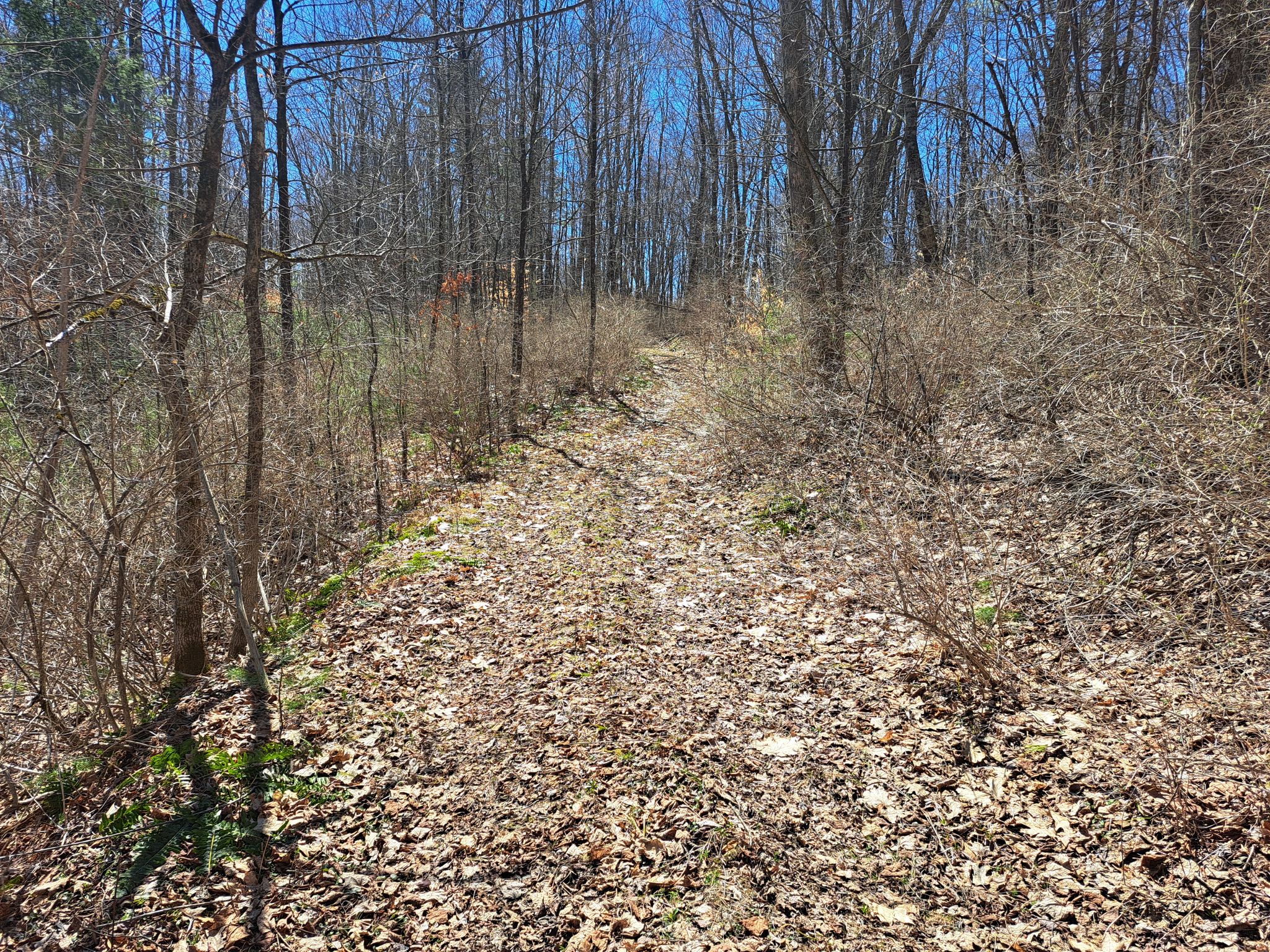 Listing Image 51