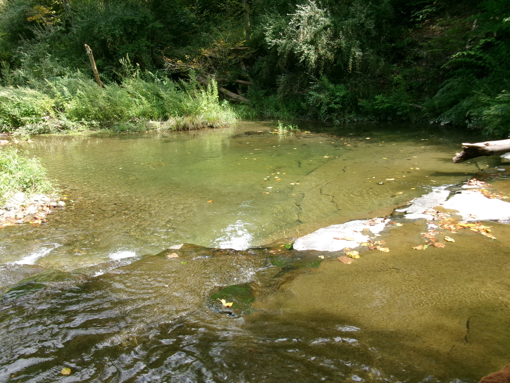 Listing Image 38