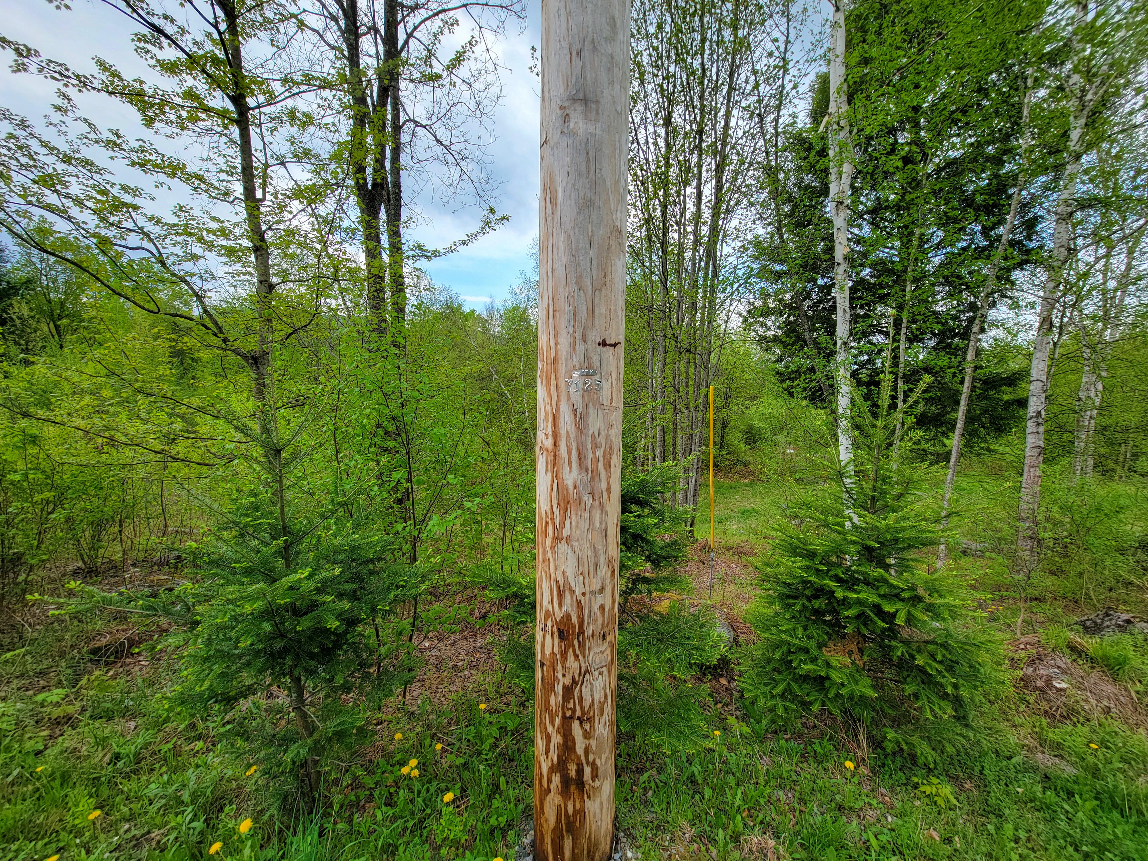 Listing Image 27