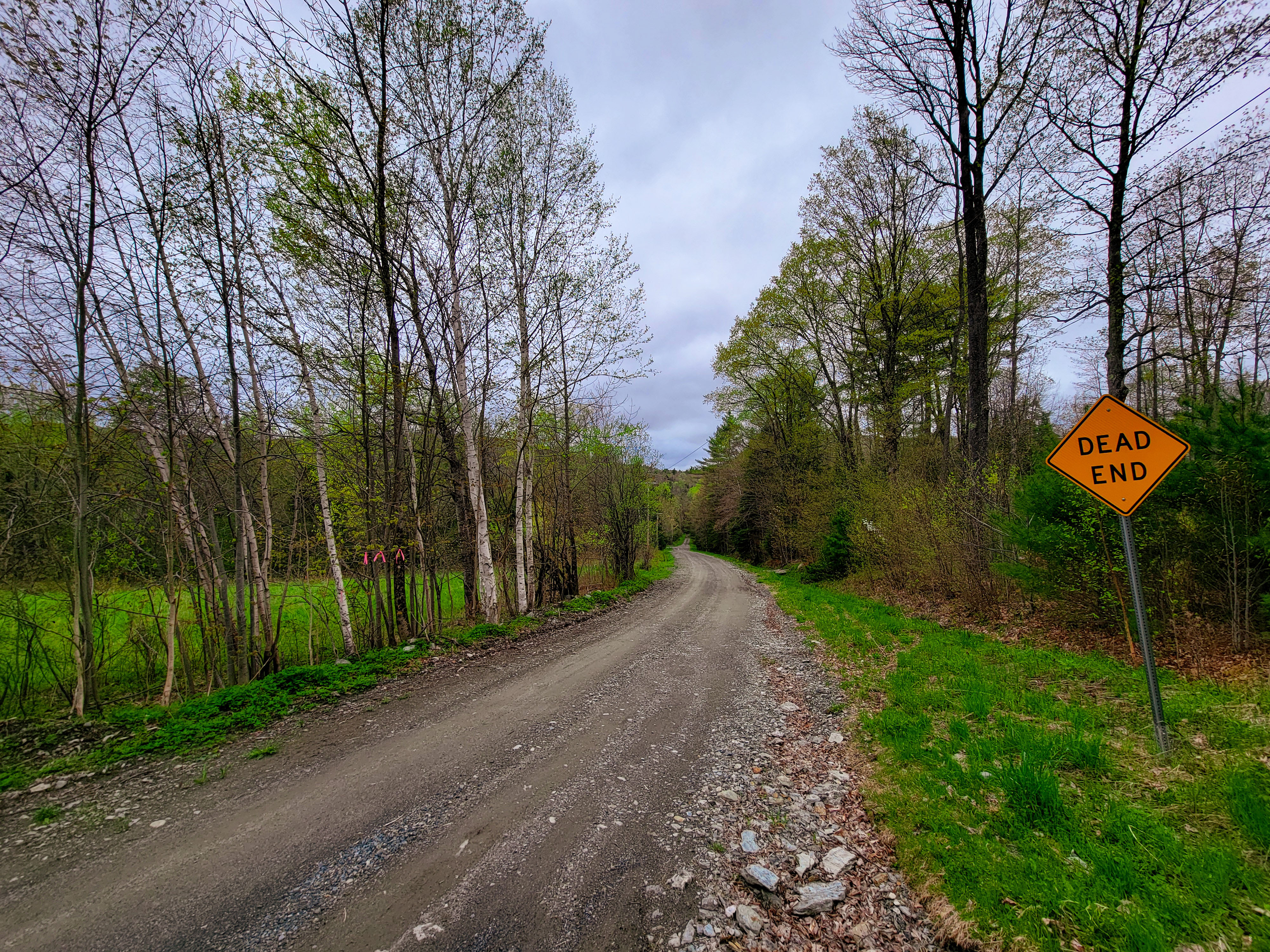 855 Campbell Rd - Waterford