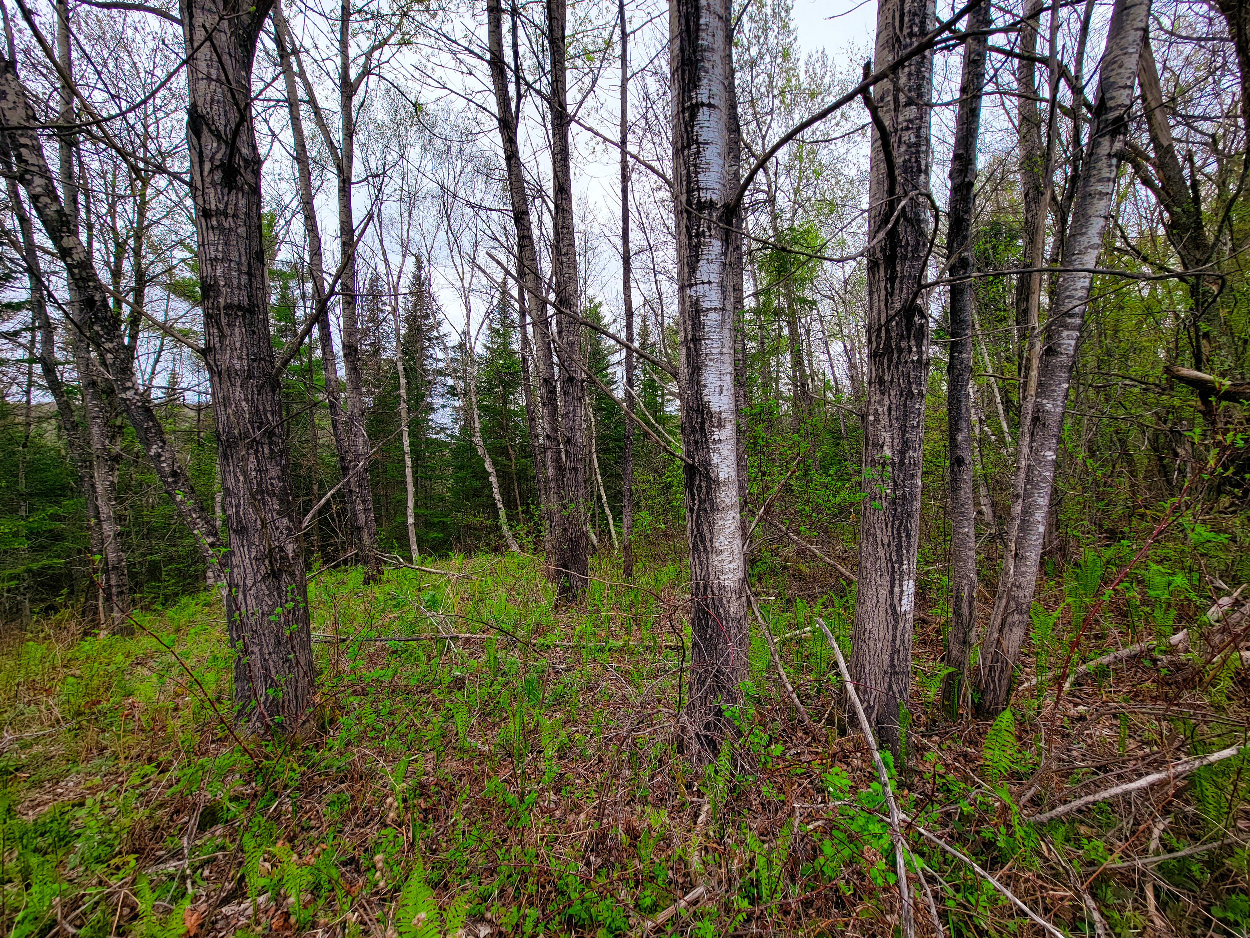 855 Campbell Rd - Waterford