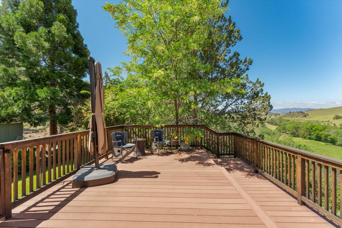 MJ Ranch