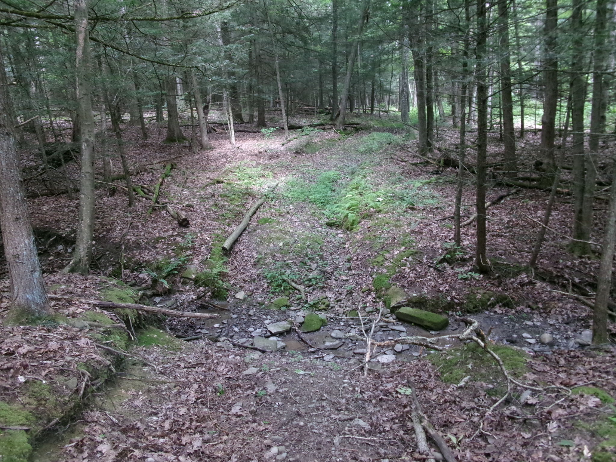 Listing Image 35