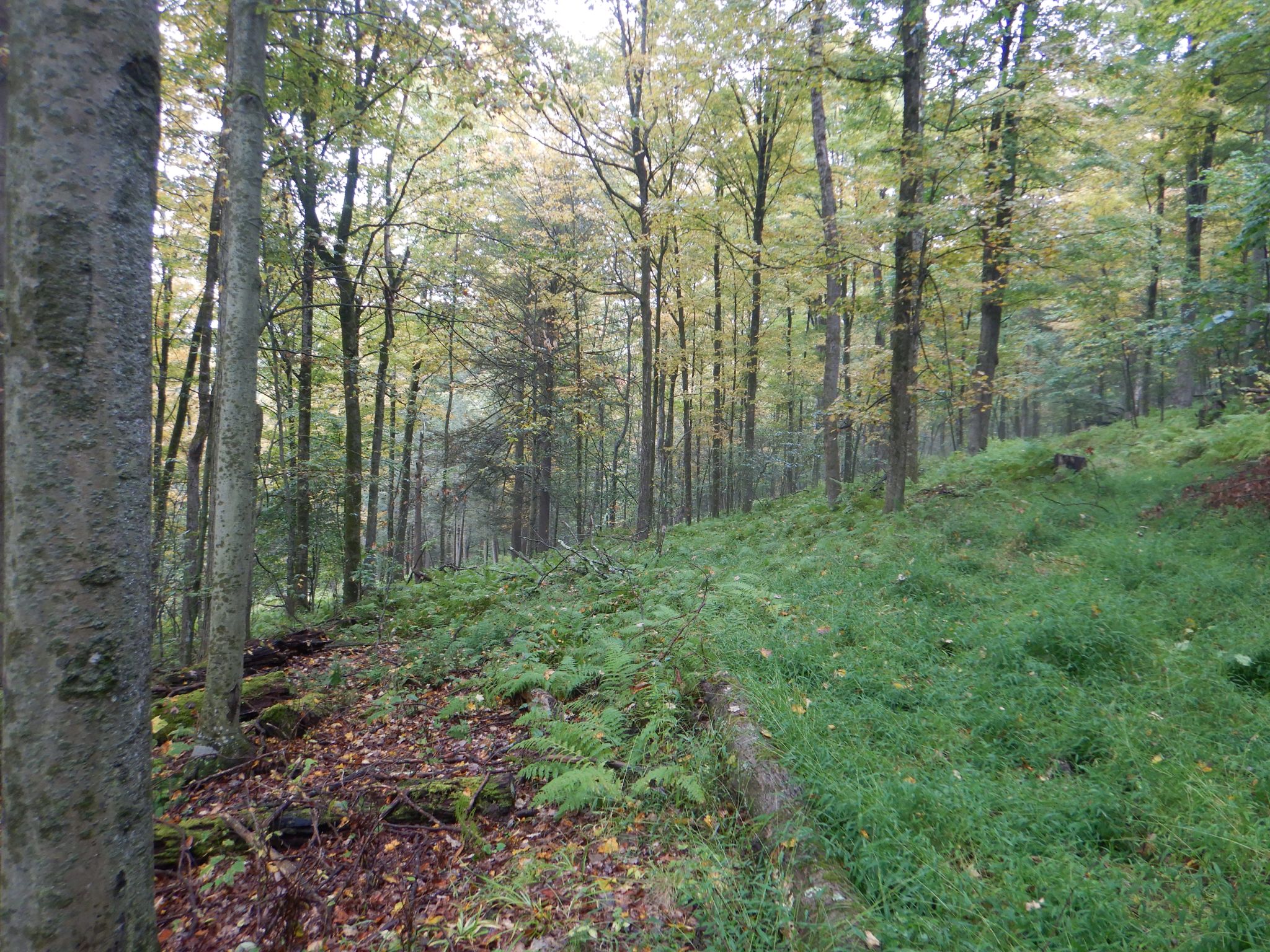 Listing Image 42