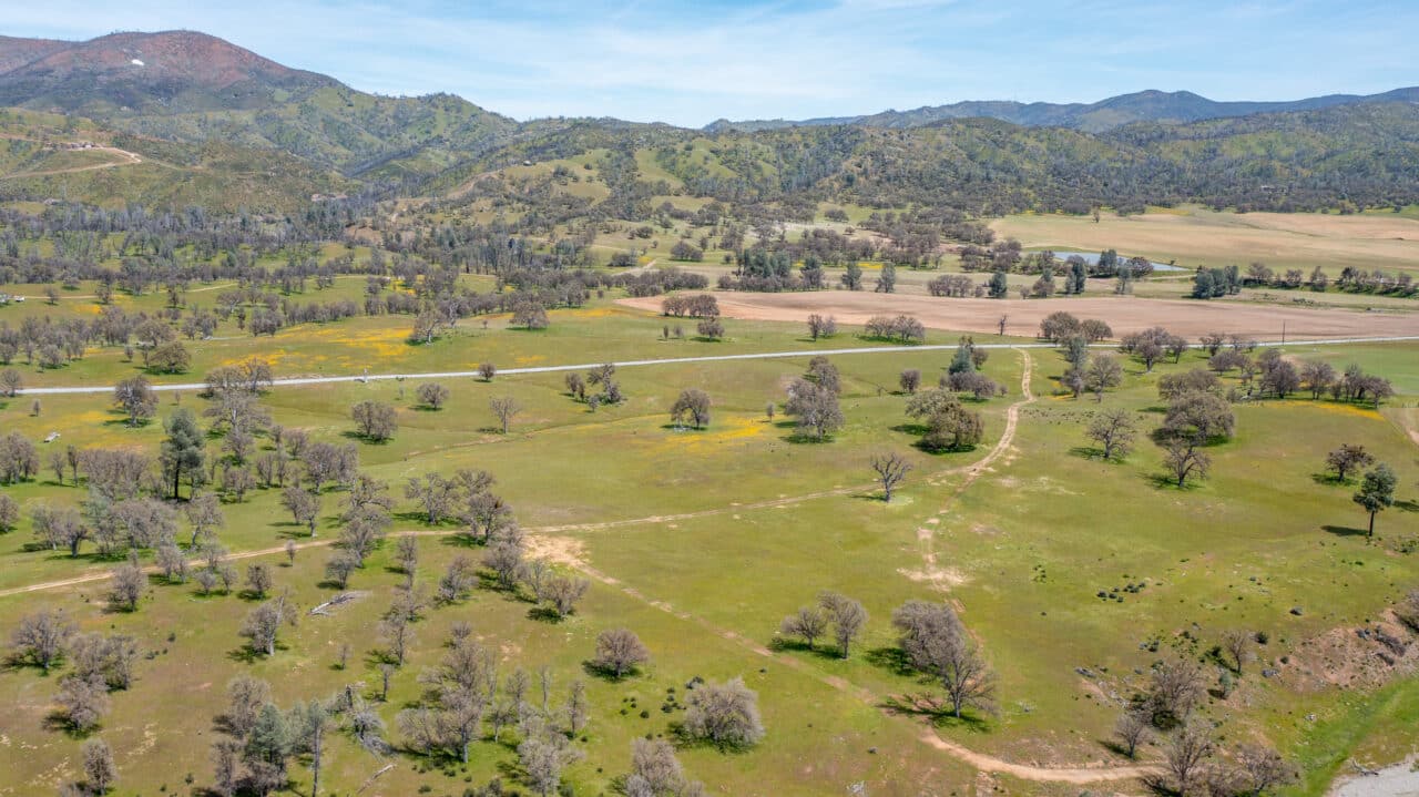 Bella Vista