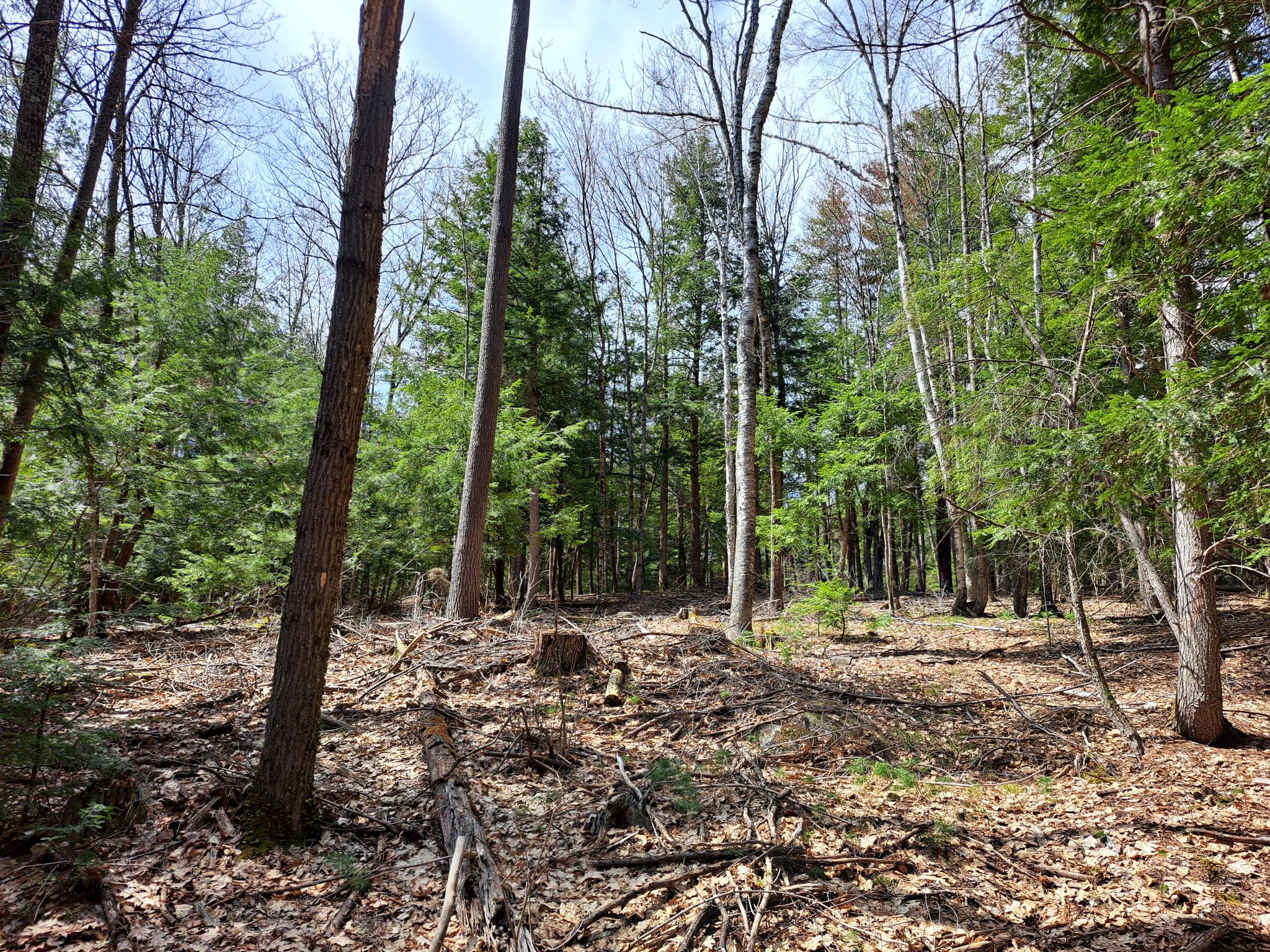 Listing Image 43