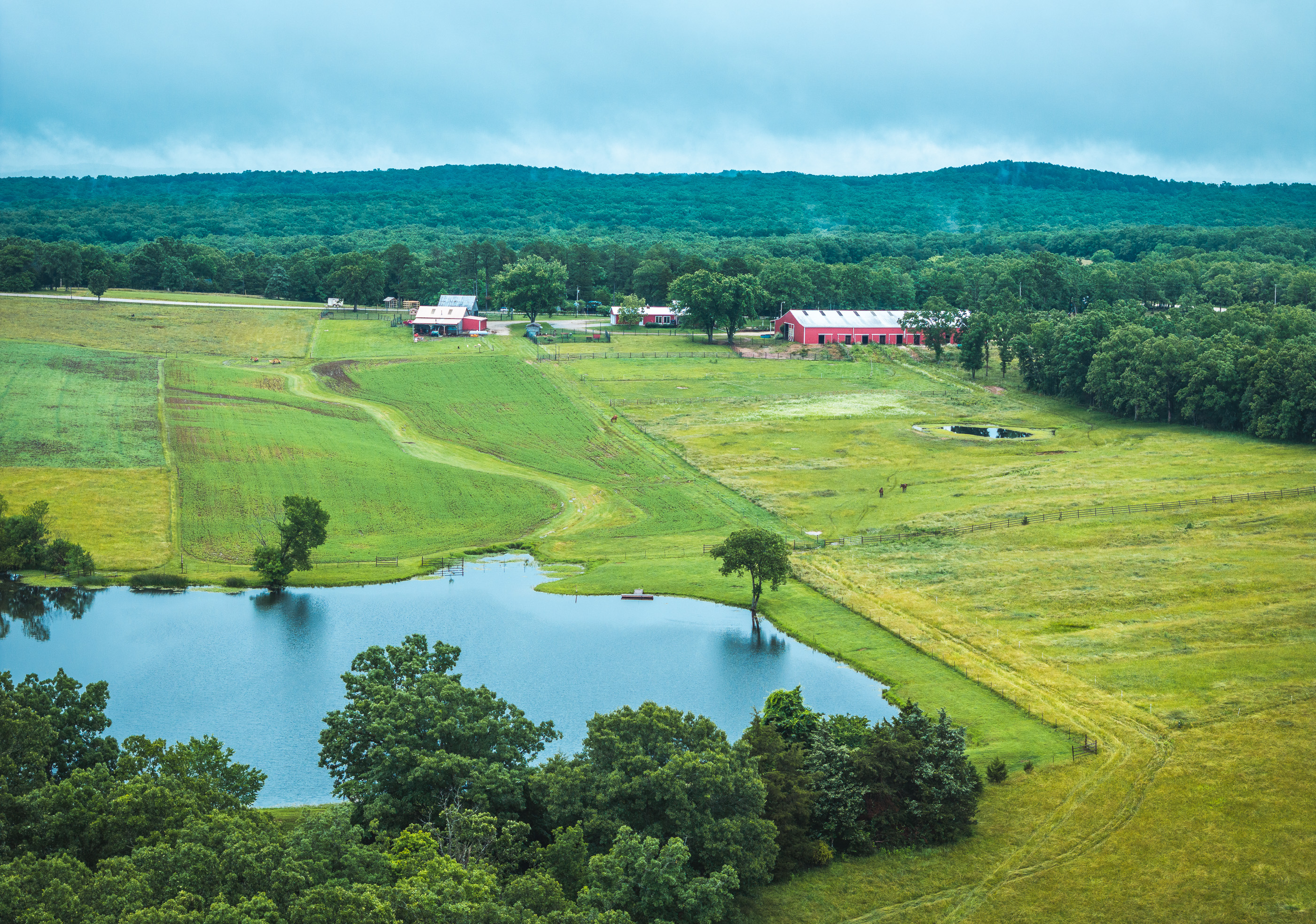 T-Cross Farm