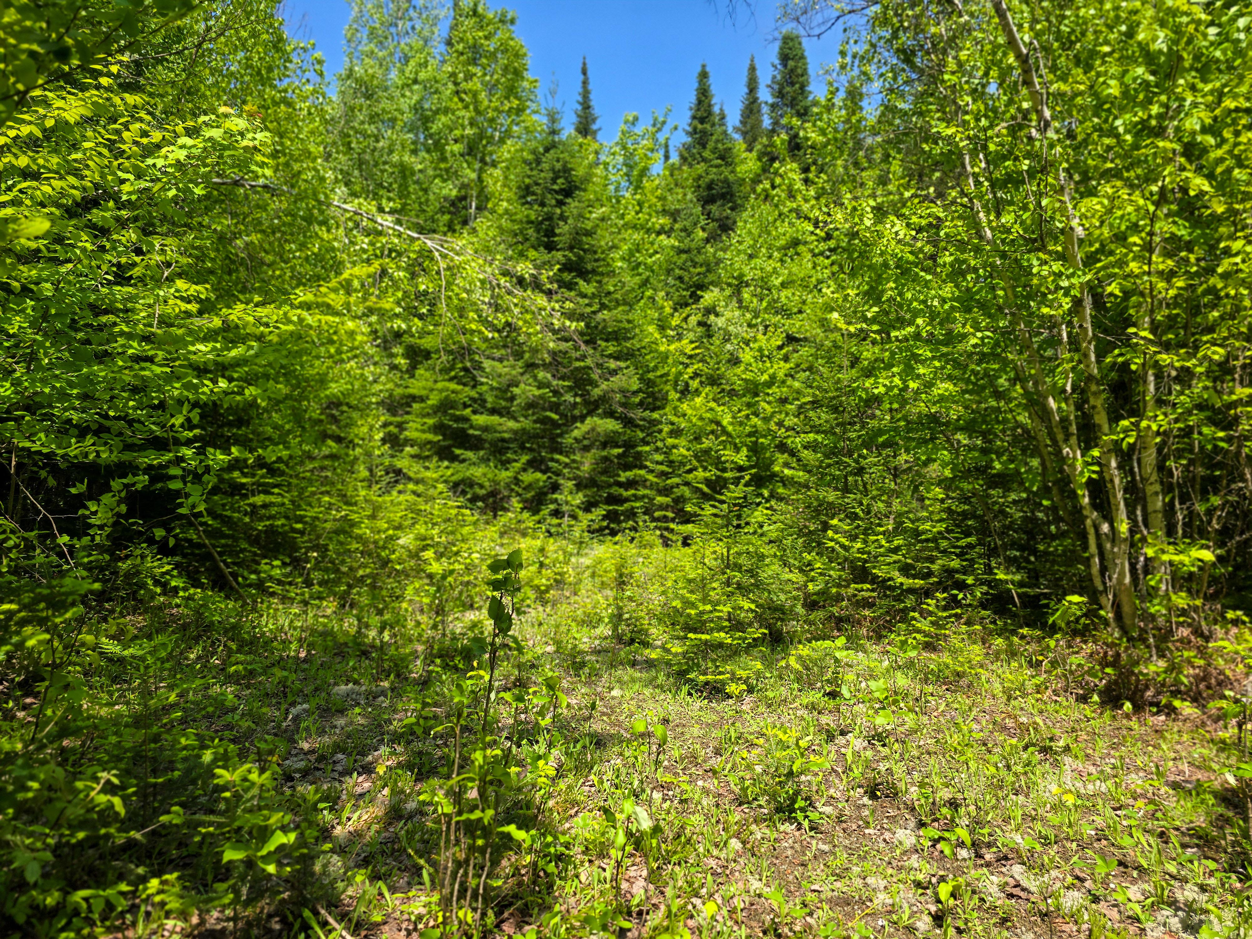 150 Spur Rd - Bloomfield